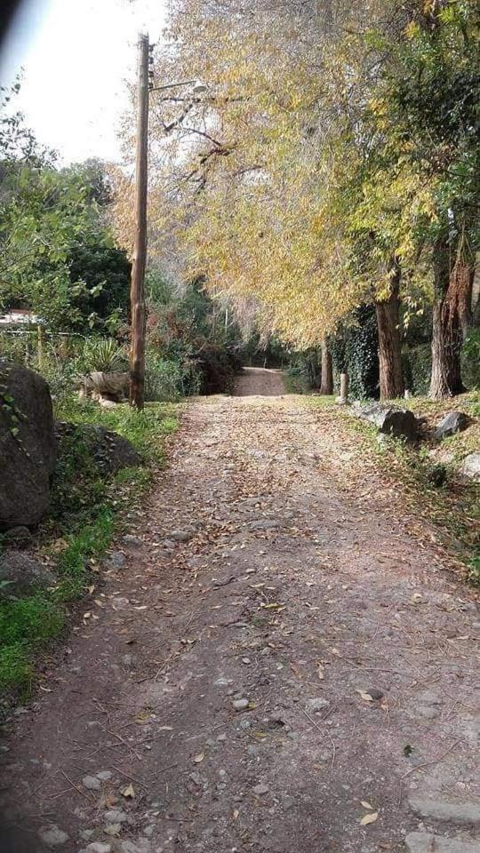 La Casita del bosque