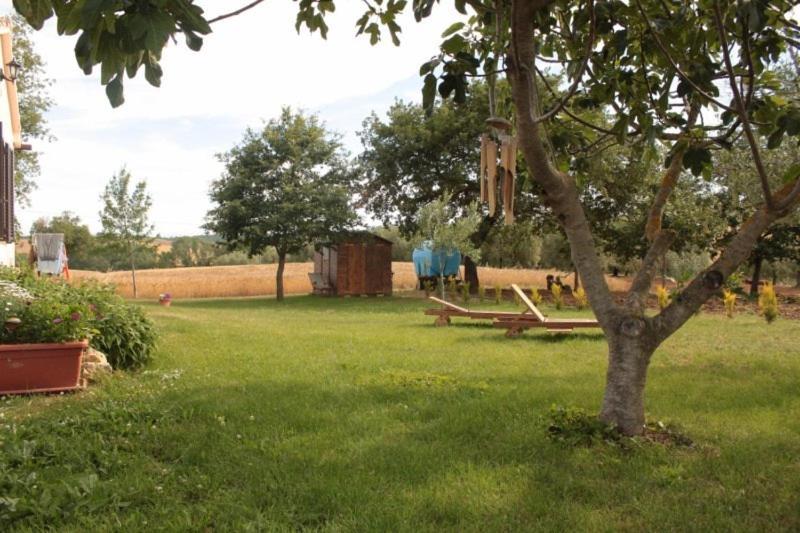 Photo 32