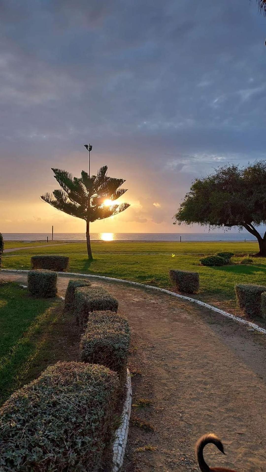 Apartamento MAGIC WORLD nueva Marina D`or 2 dormitorios Edificio Torremar