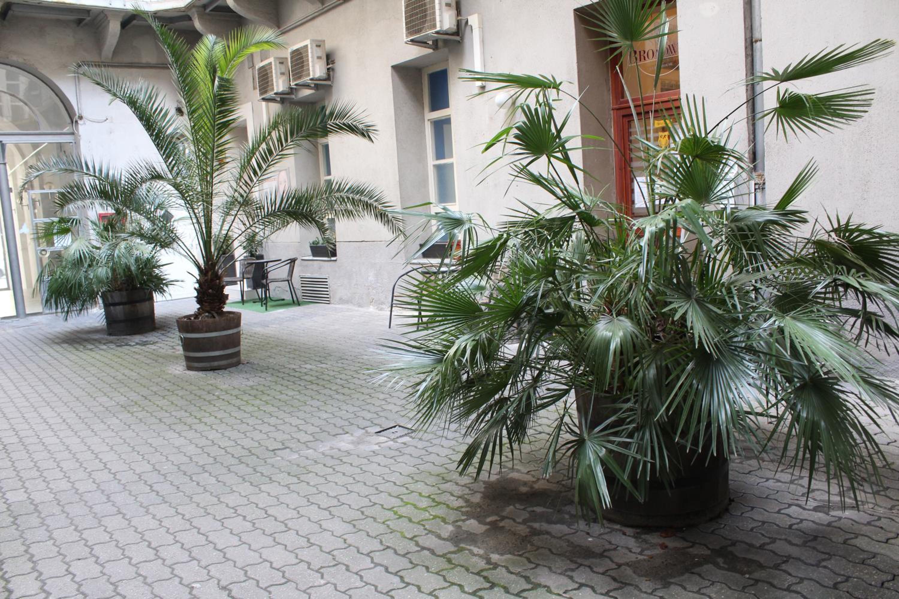 Broadway Guesthouse