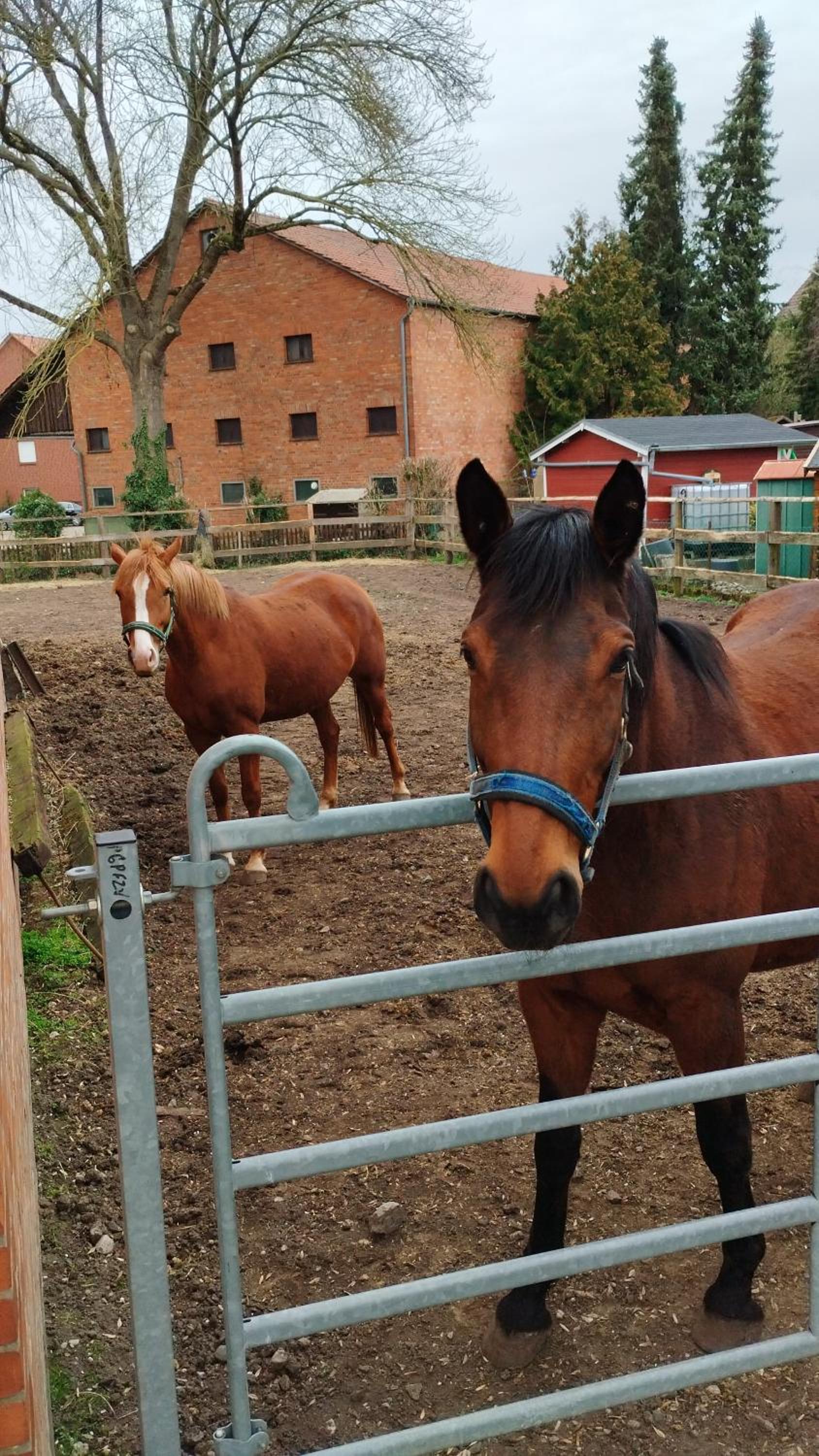 Wohnen auf dem Bauernhof
