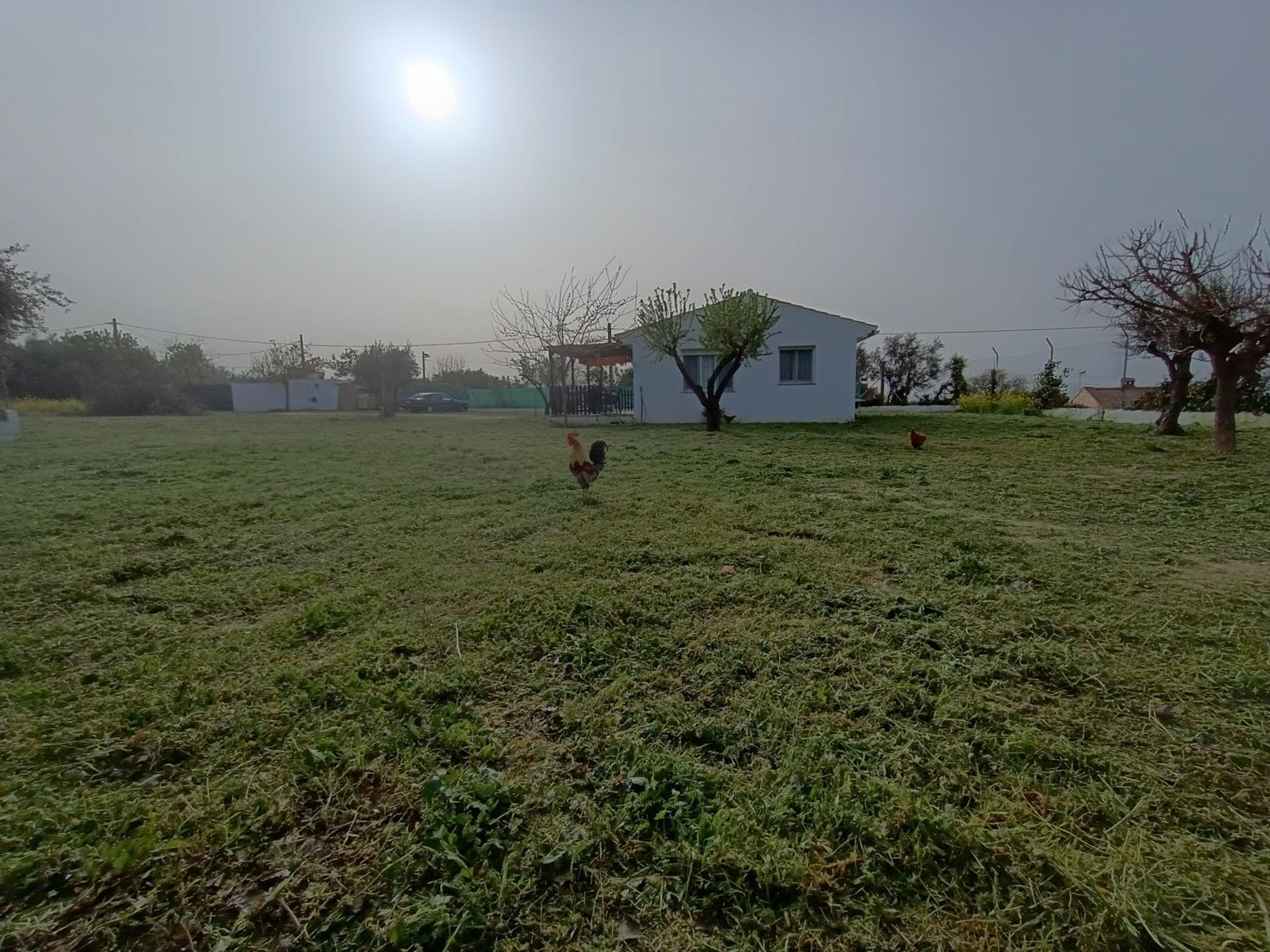 Casa de Campo Los Manueles Ideal Perros Pet Friendly