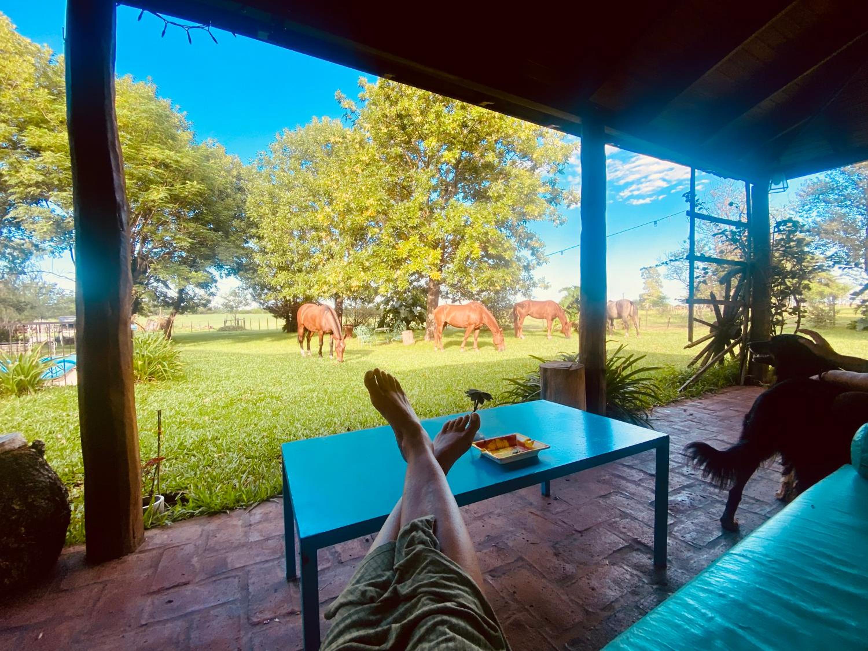 Casa de Campo SAN JACINTO grupos GRANDES 17 p Promo Diciembre del 10 al 22 mínimo 5 noches Resérvala Ya !