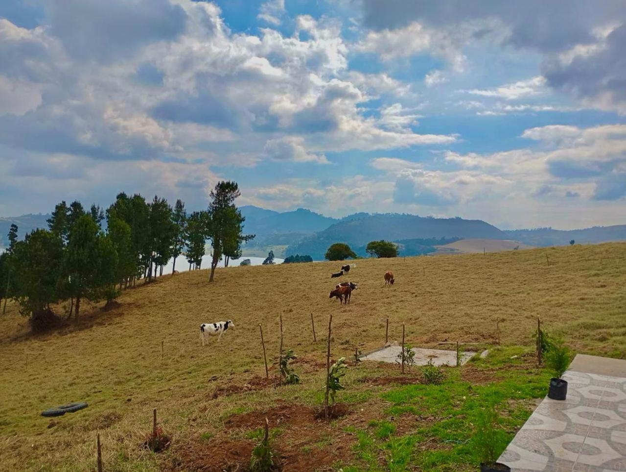 Finca Siberia