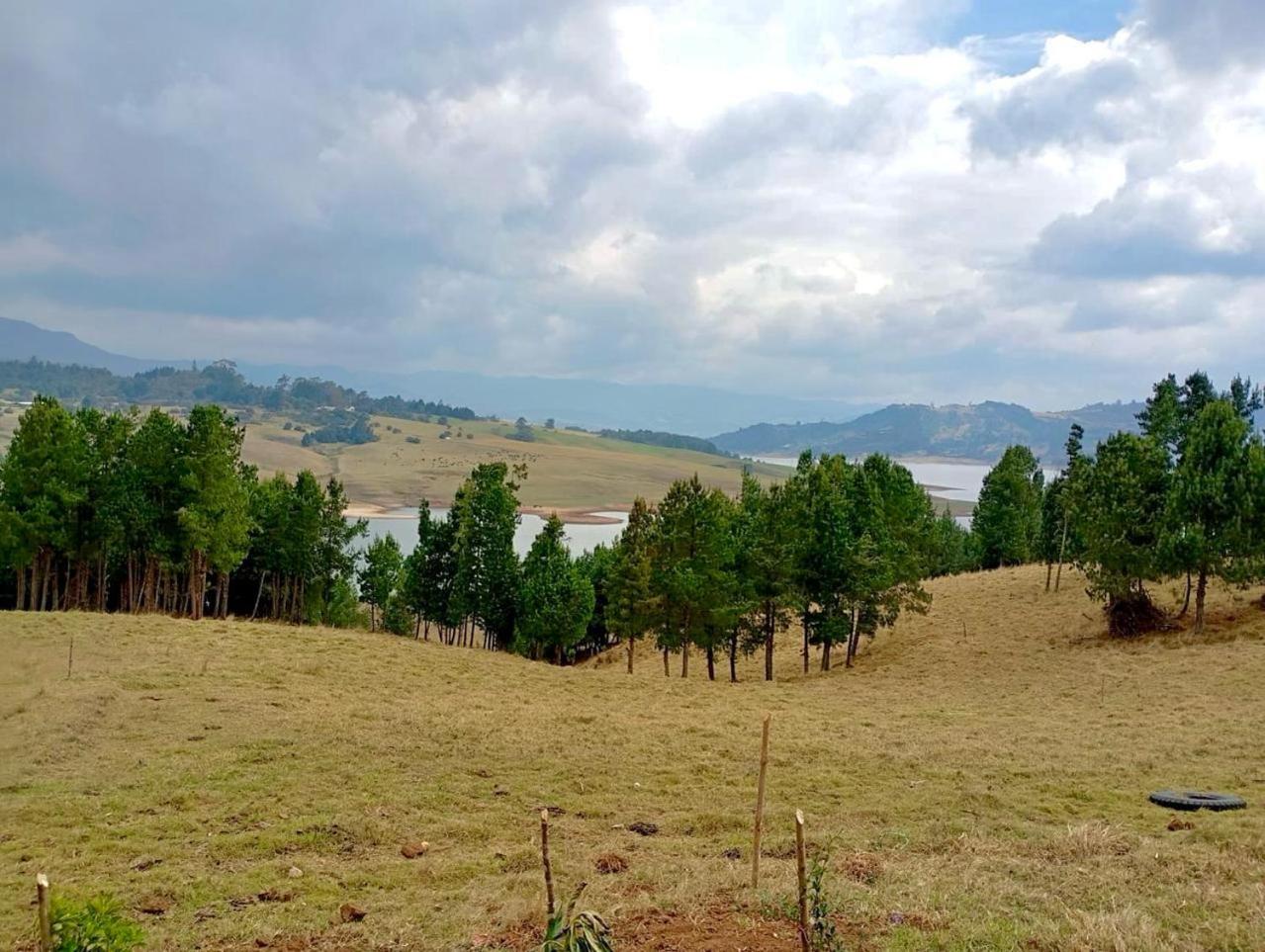 Finca Siberia