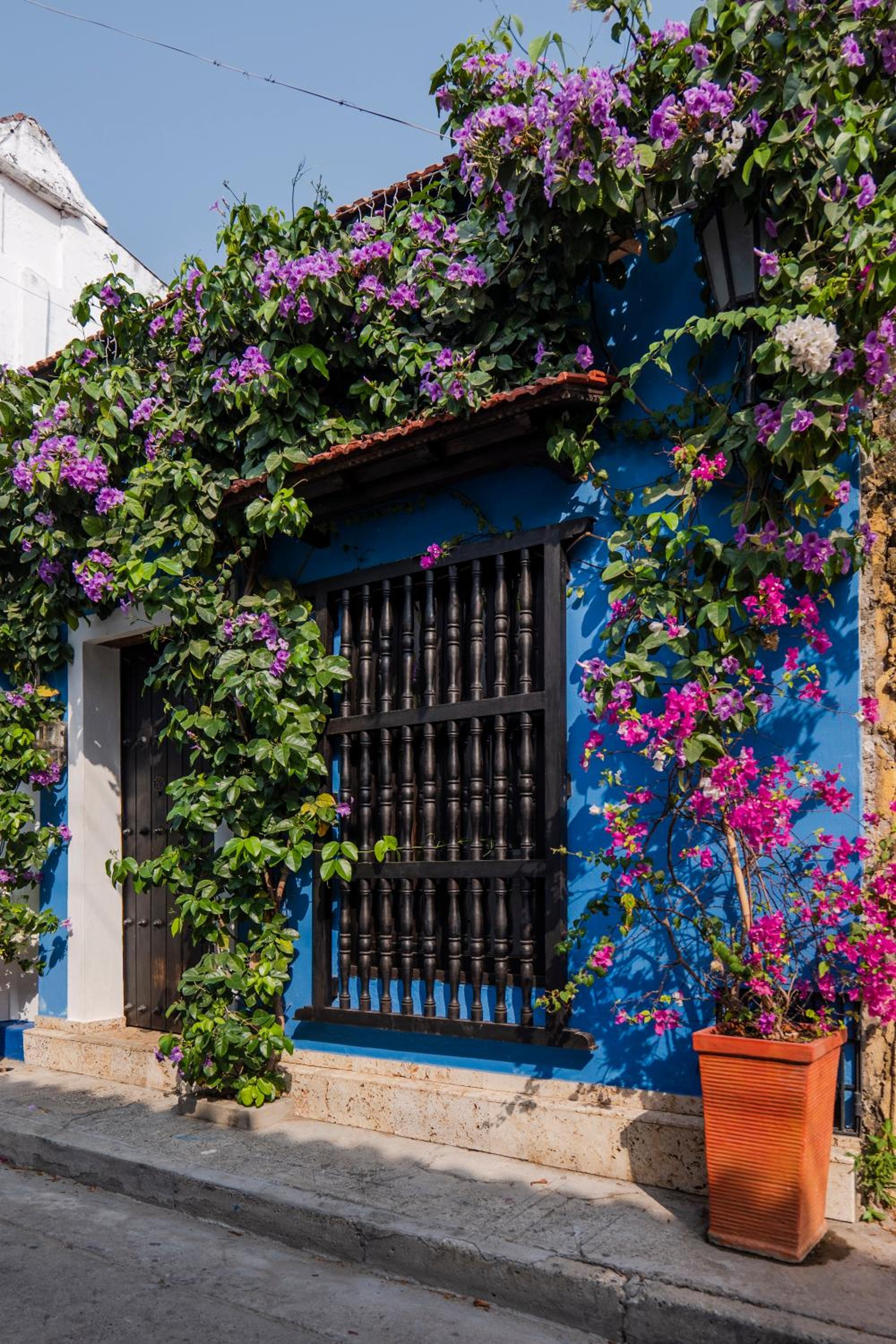 Casa Familiar - Maria de las Palmas -Getsemani
