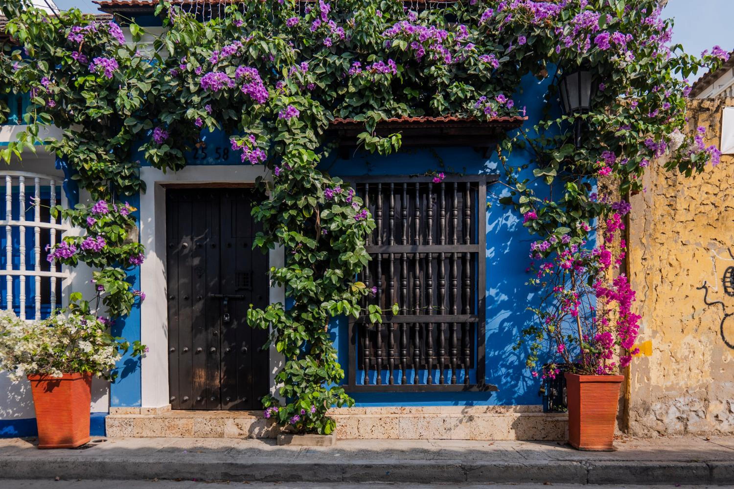 Casa Familiar - Maria de las Palmas -Getsemani