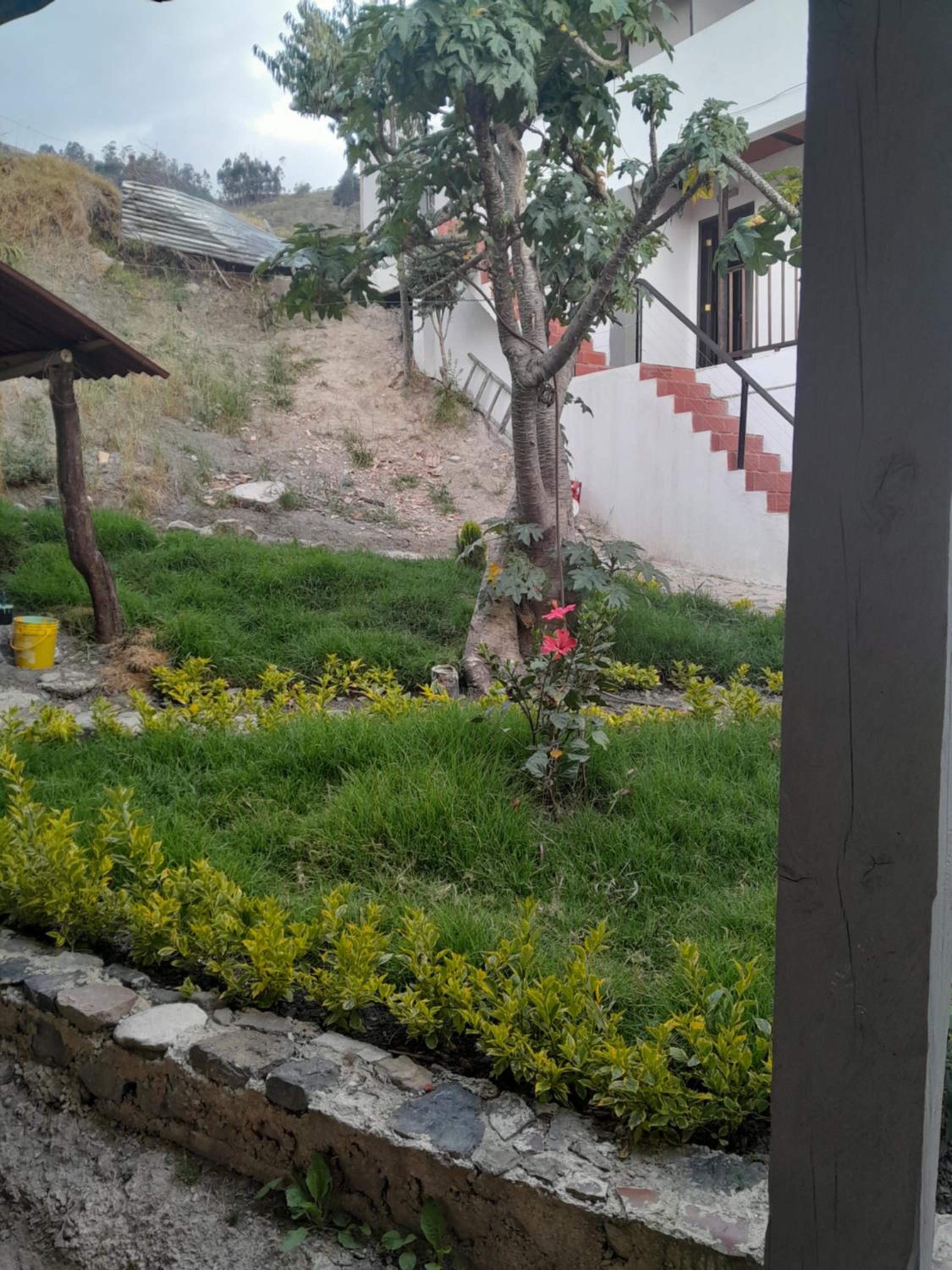 Hotel Mahoma - Image 3