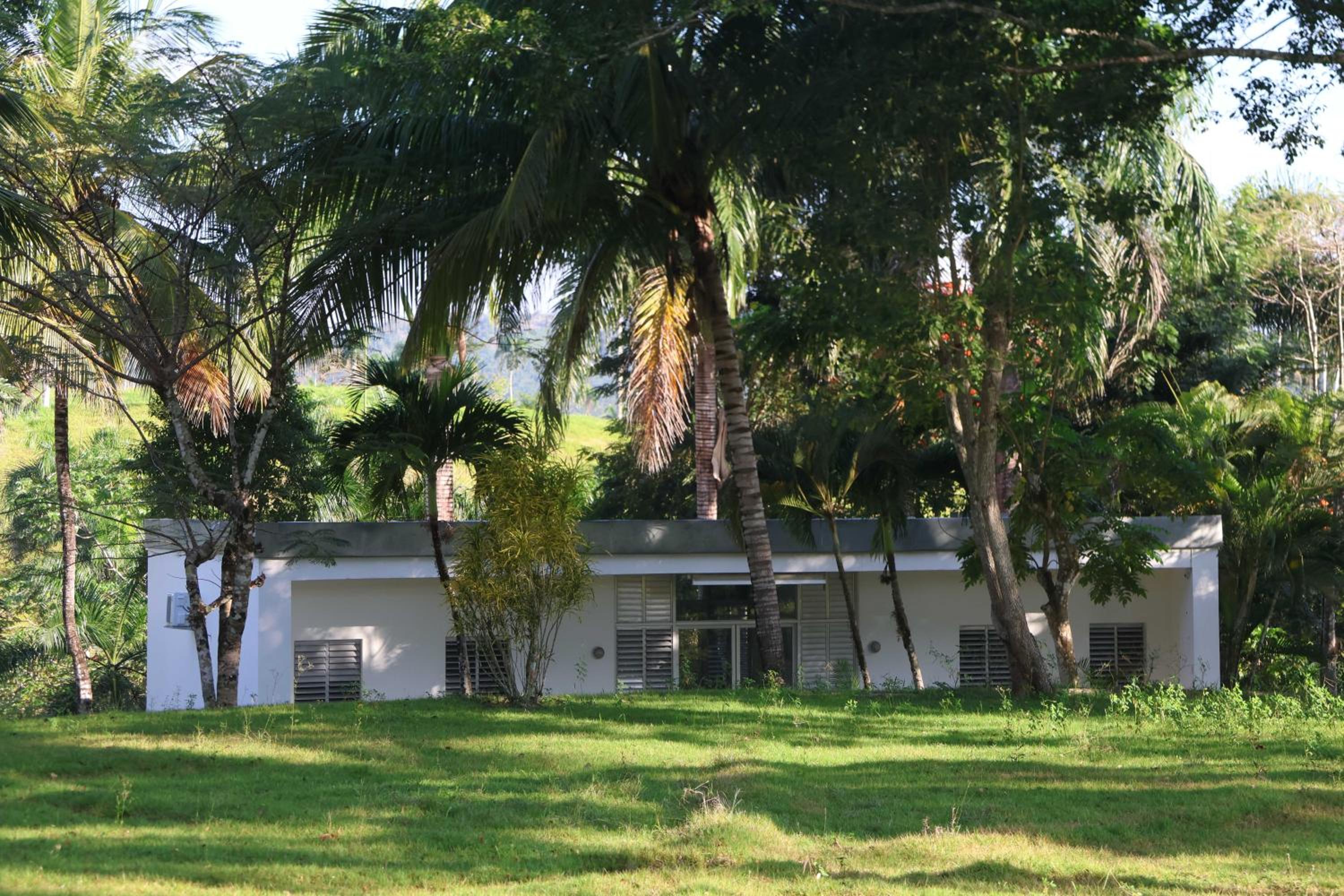 Papaya Casita - On an organic farm