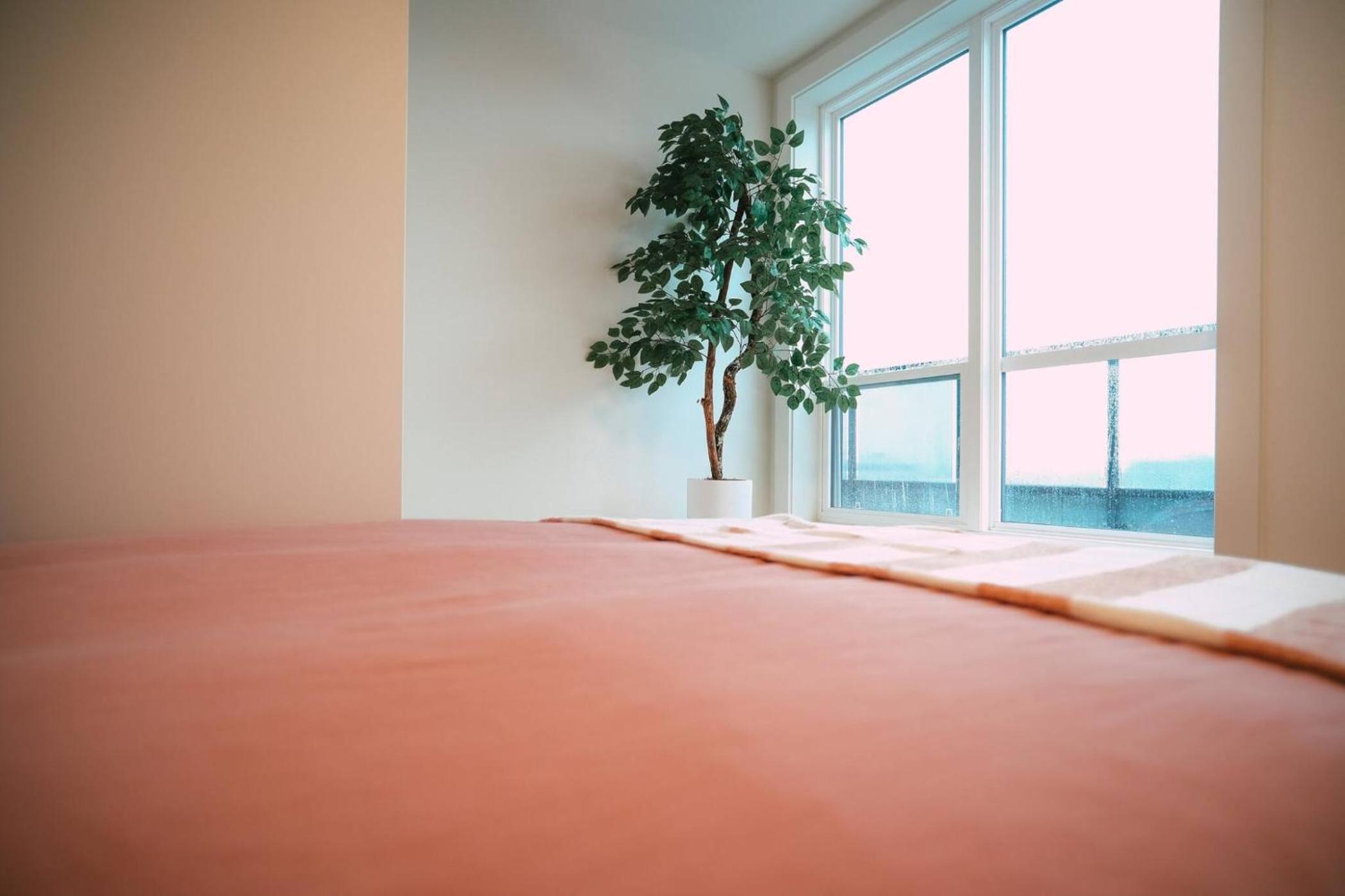 Chic Cozy Retreat - 2BR - Stunning North End Views