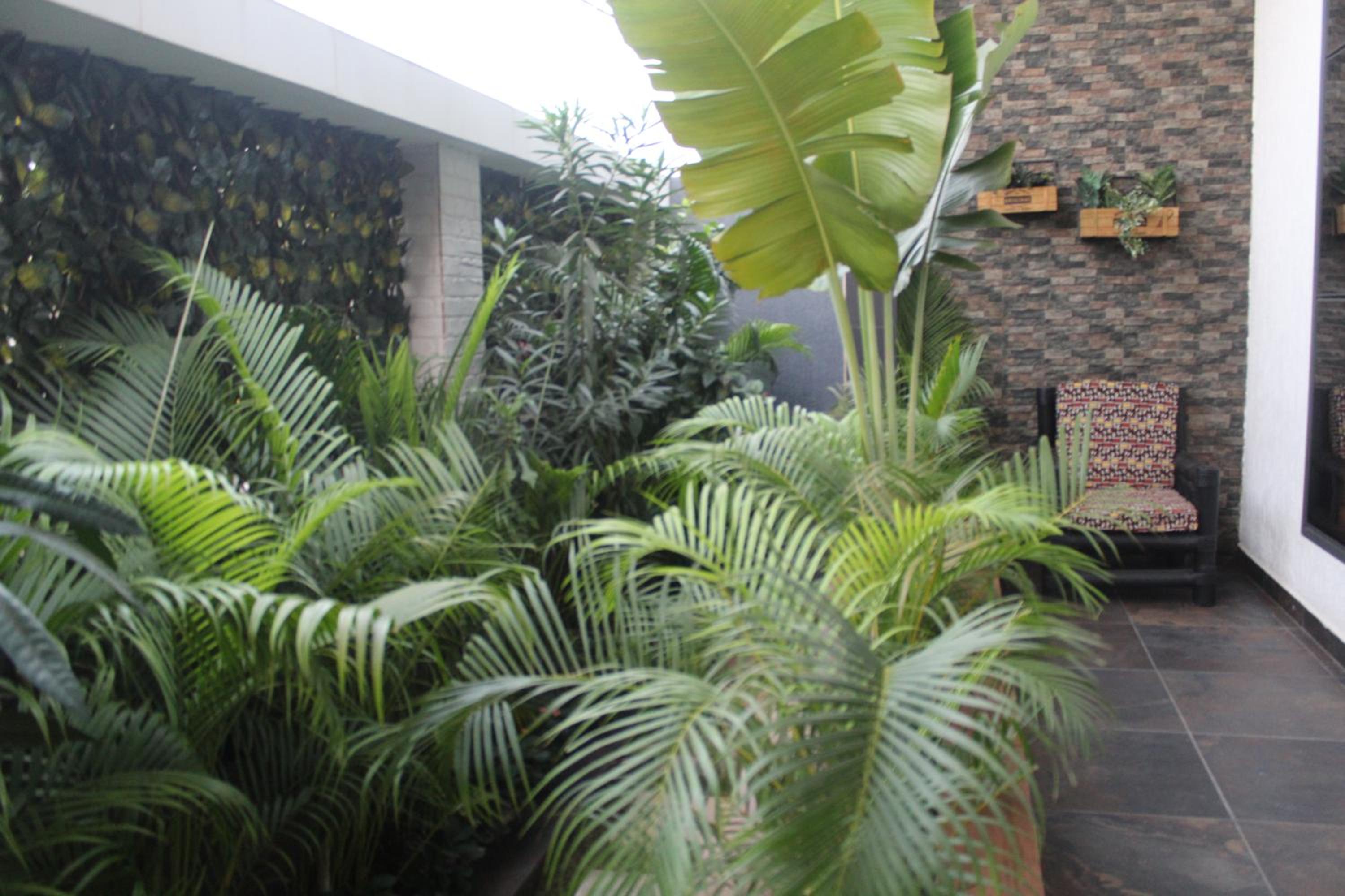 Villas Libdo Immo