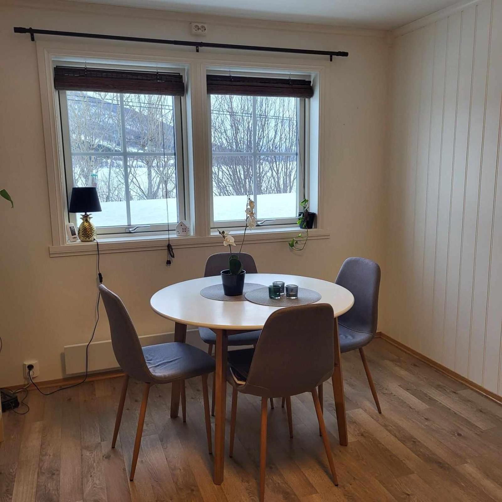 Nydelig leilighet med nærhet til ski og nordlys view 5