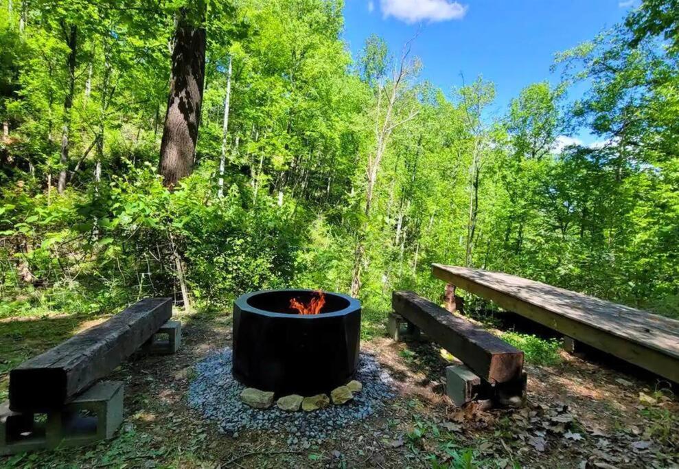 Secluded Nature Views, Hot Tub, WiFi, King Bed, Firepit