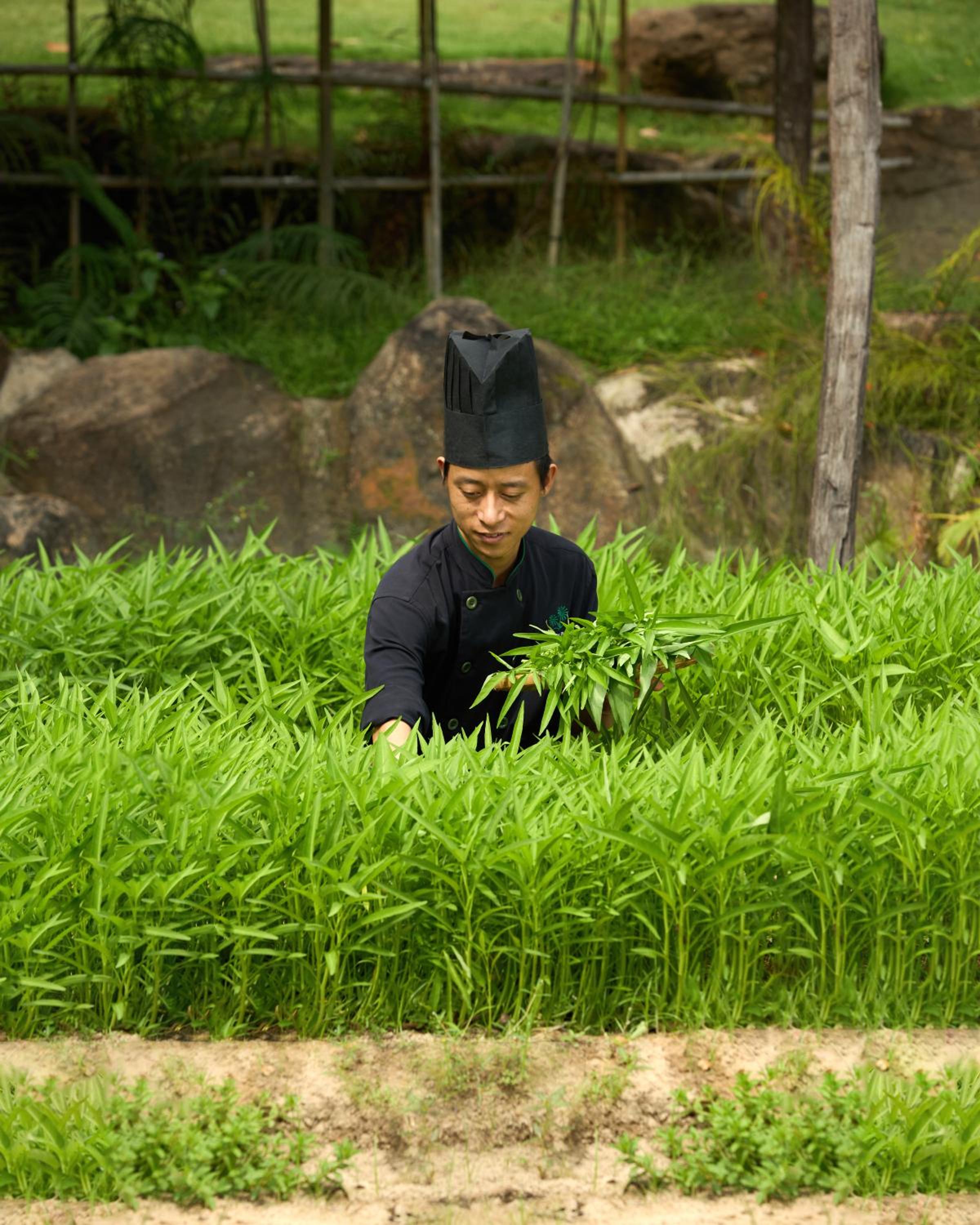 Green Bay Phu Quoc Resort & Spa