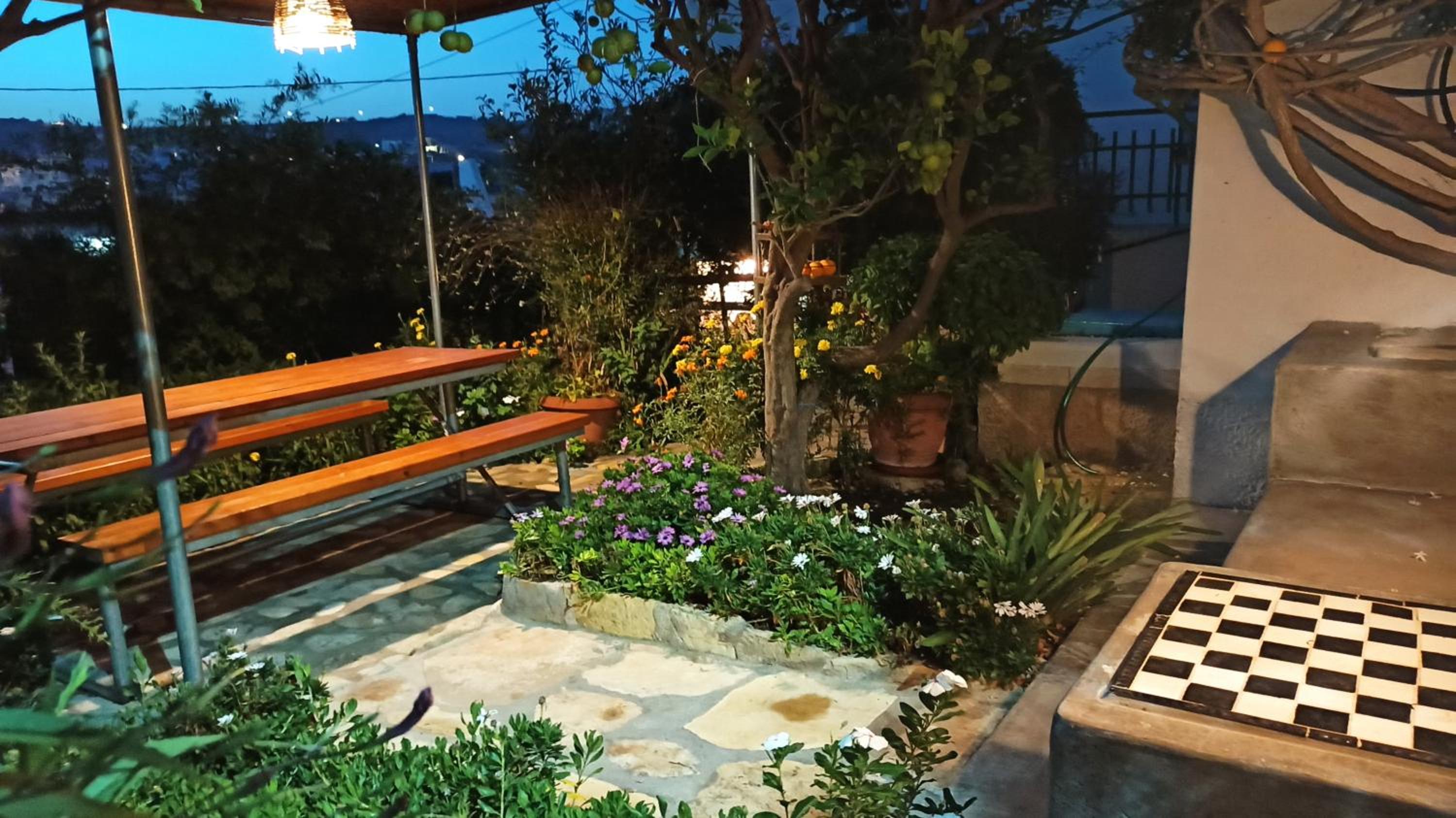 Photo 10
