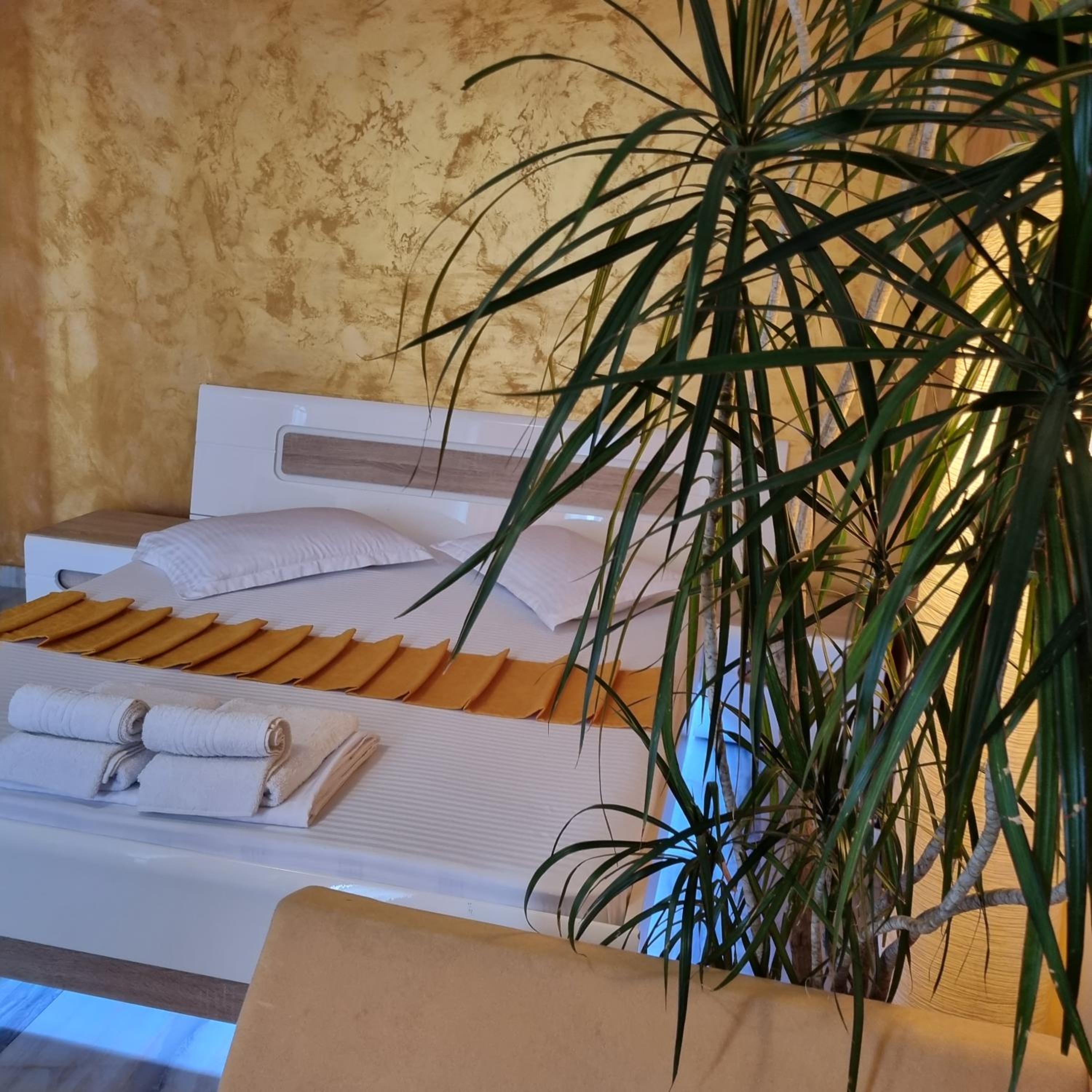 GOLDEN STUDIO- Panoramic View with Terrace view 4