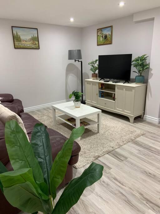 One bedroom in luxurious brand new ground level apartment
