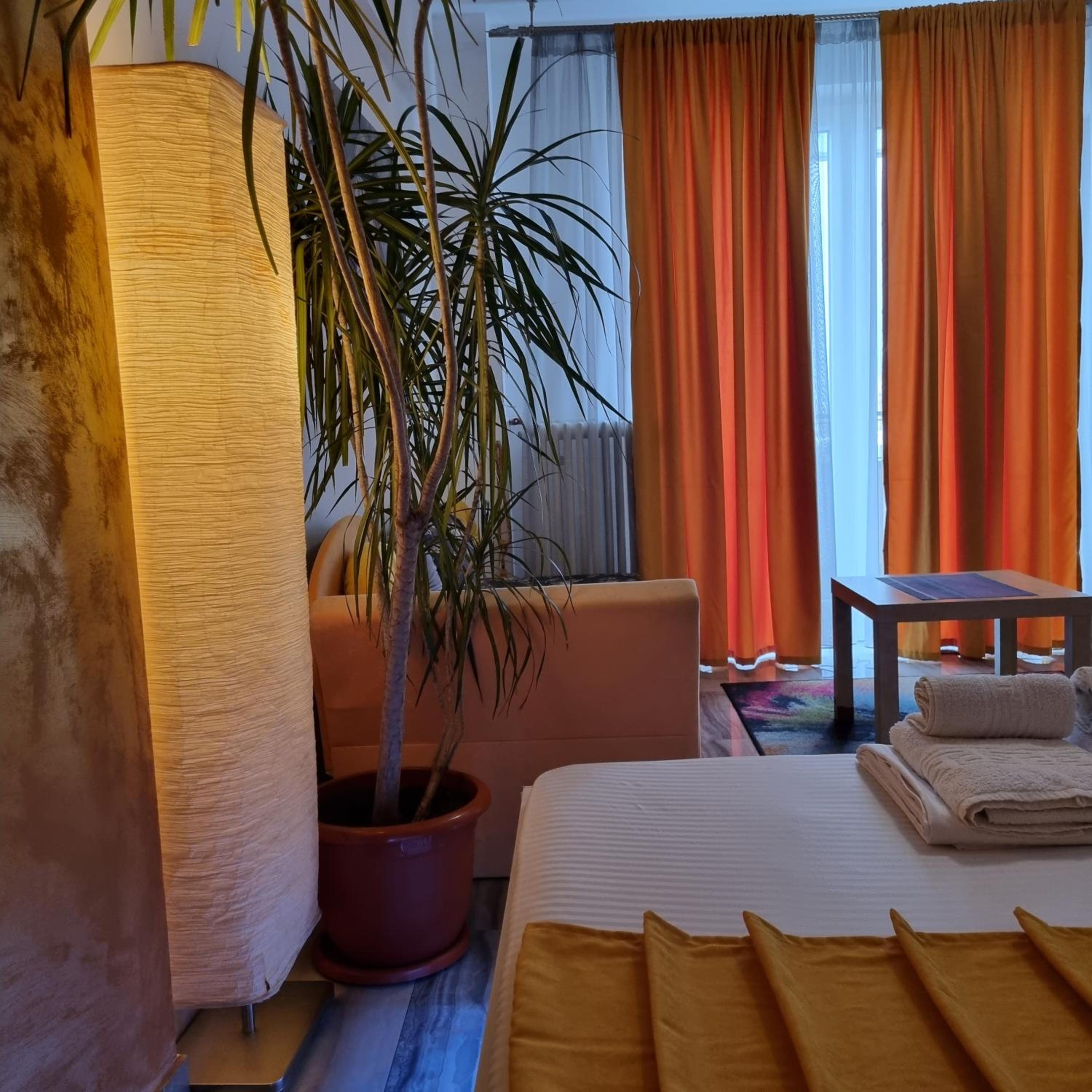 GOLDEN STUDIO- Panoramic View with Terrace view 2