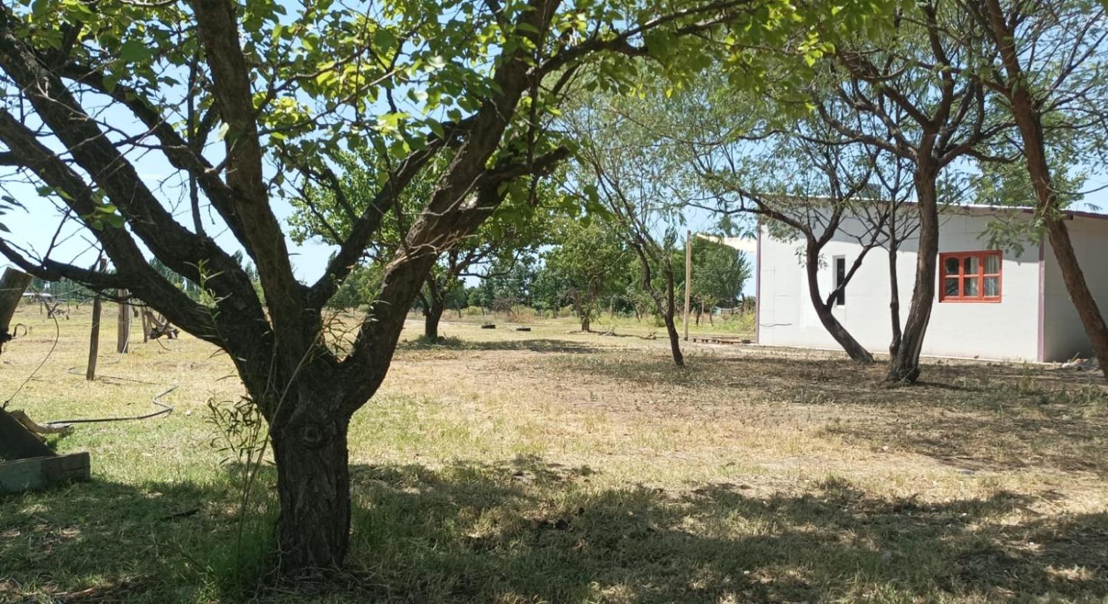 Cabañas Omelen Antü 1