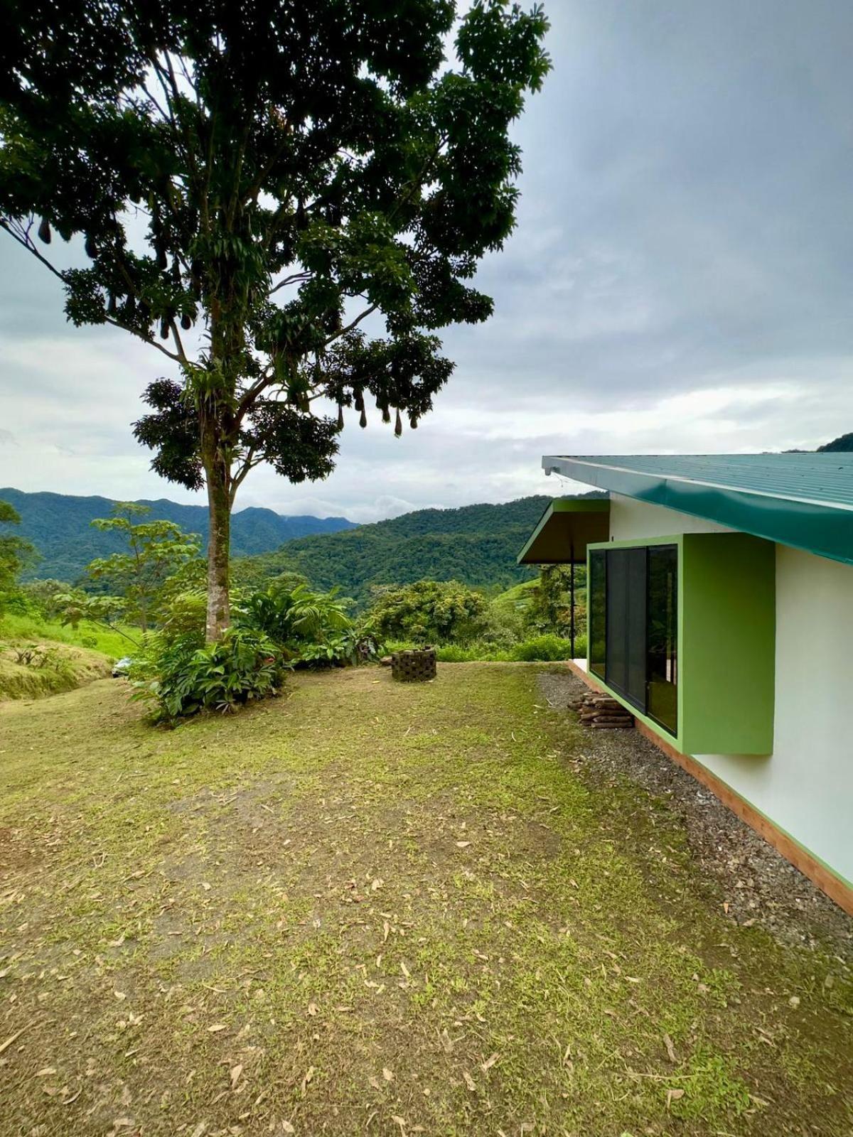 Eternal Rain Forest House