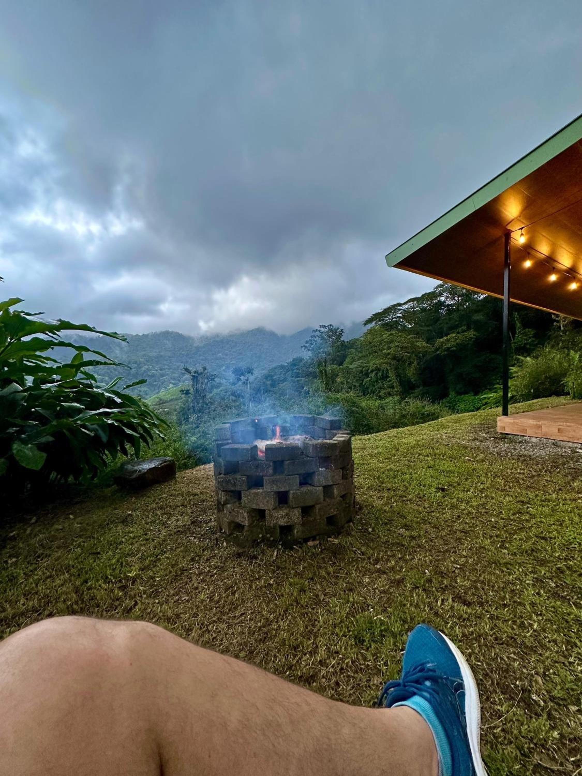 Eternal Rain Forest House