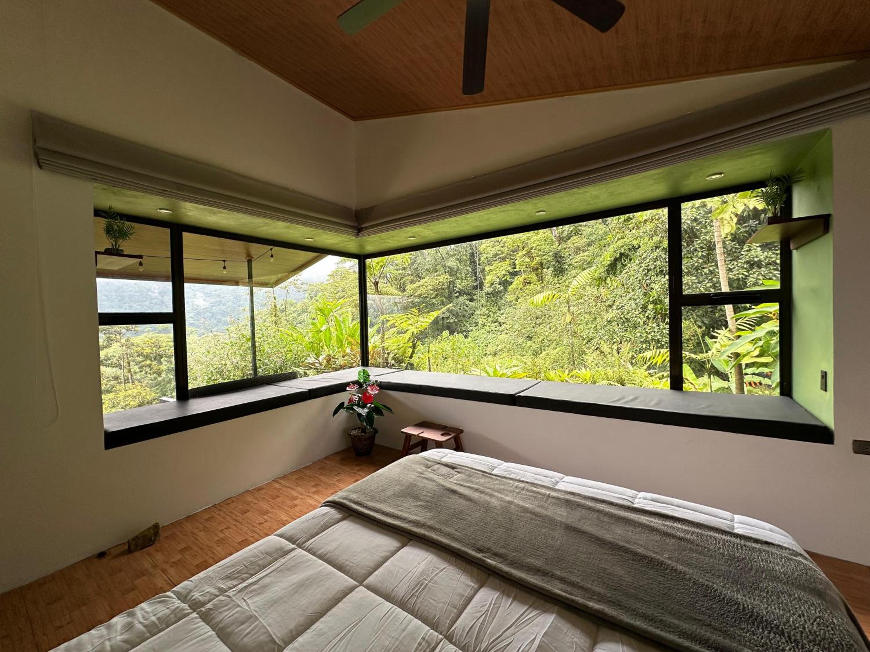 Eternal Rain Forest House