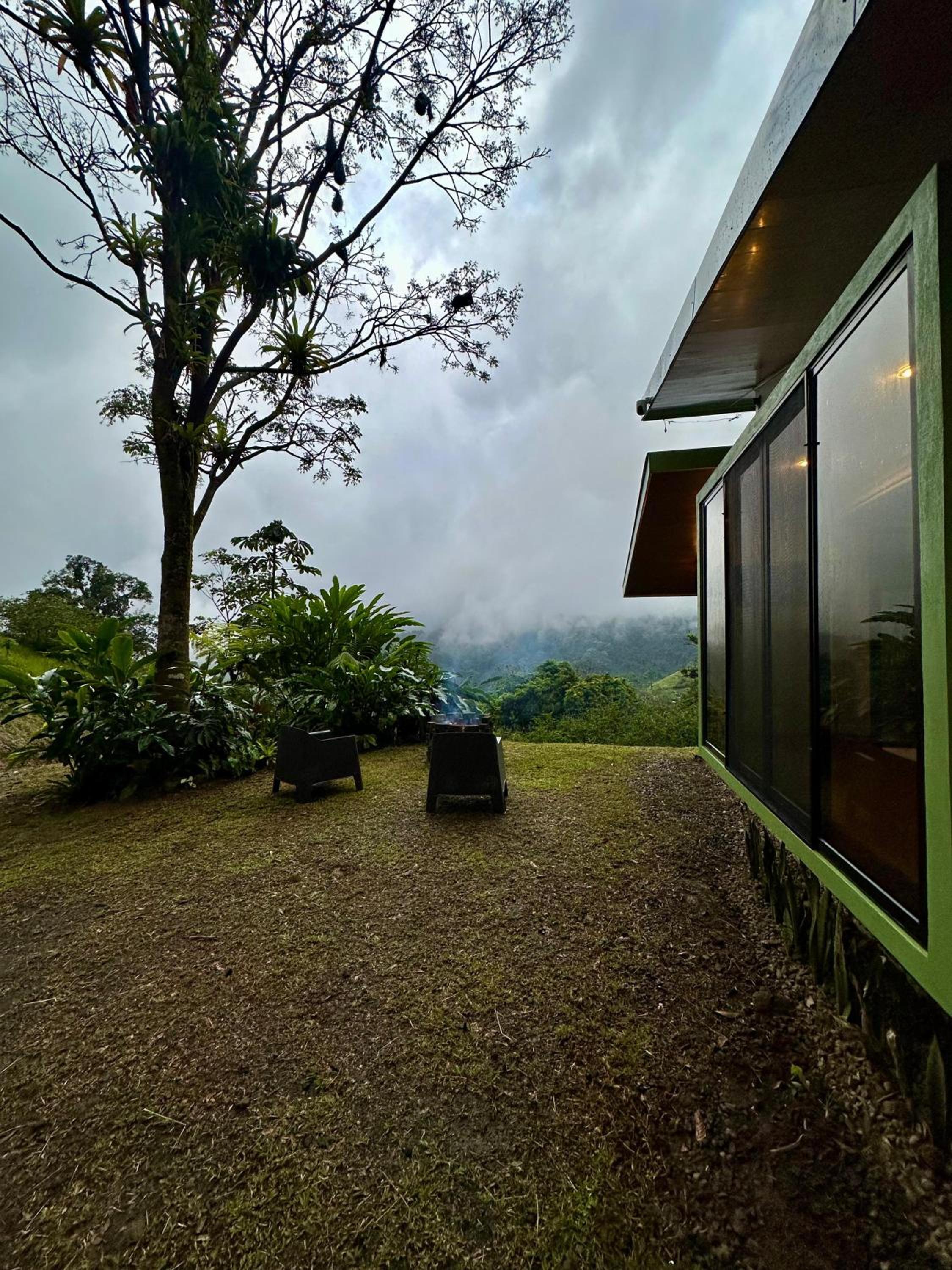 Eternal Rain Forest House