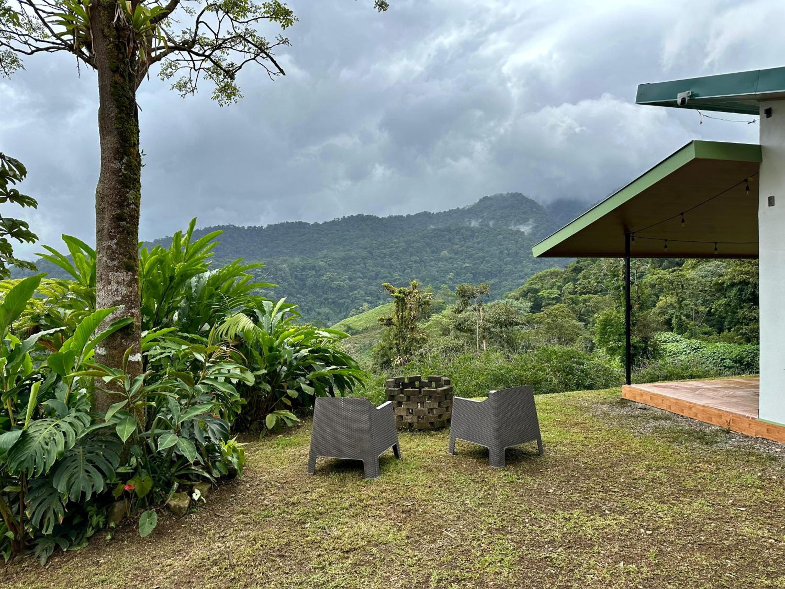 Eternal Rain Forest House