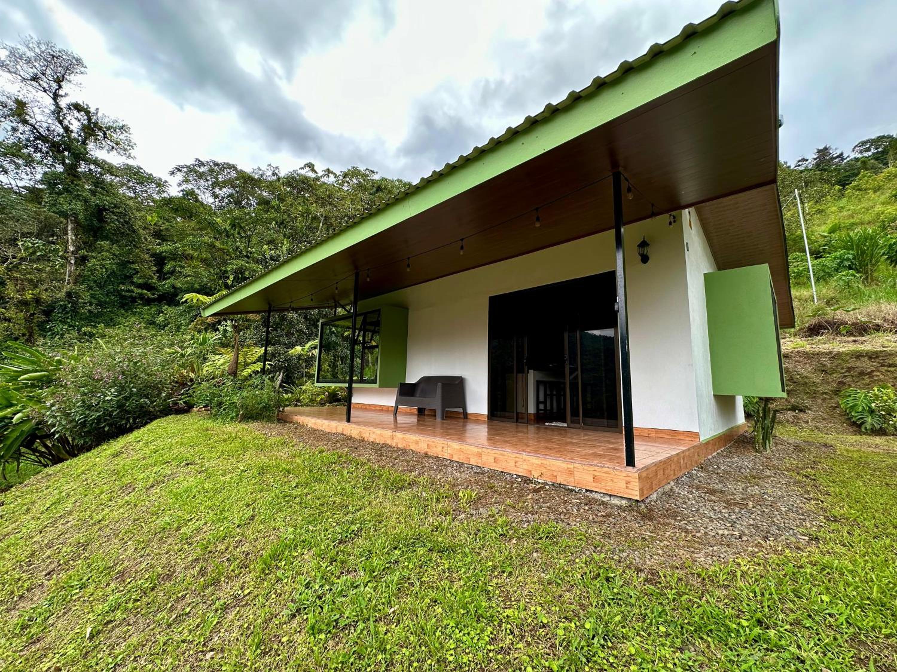Eternal Rain Forest House