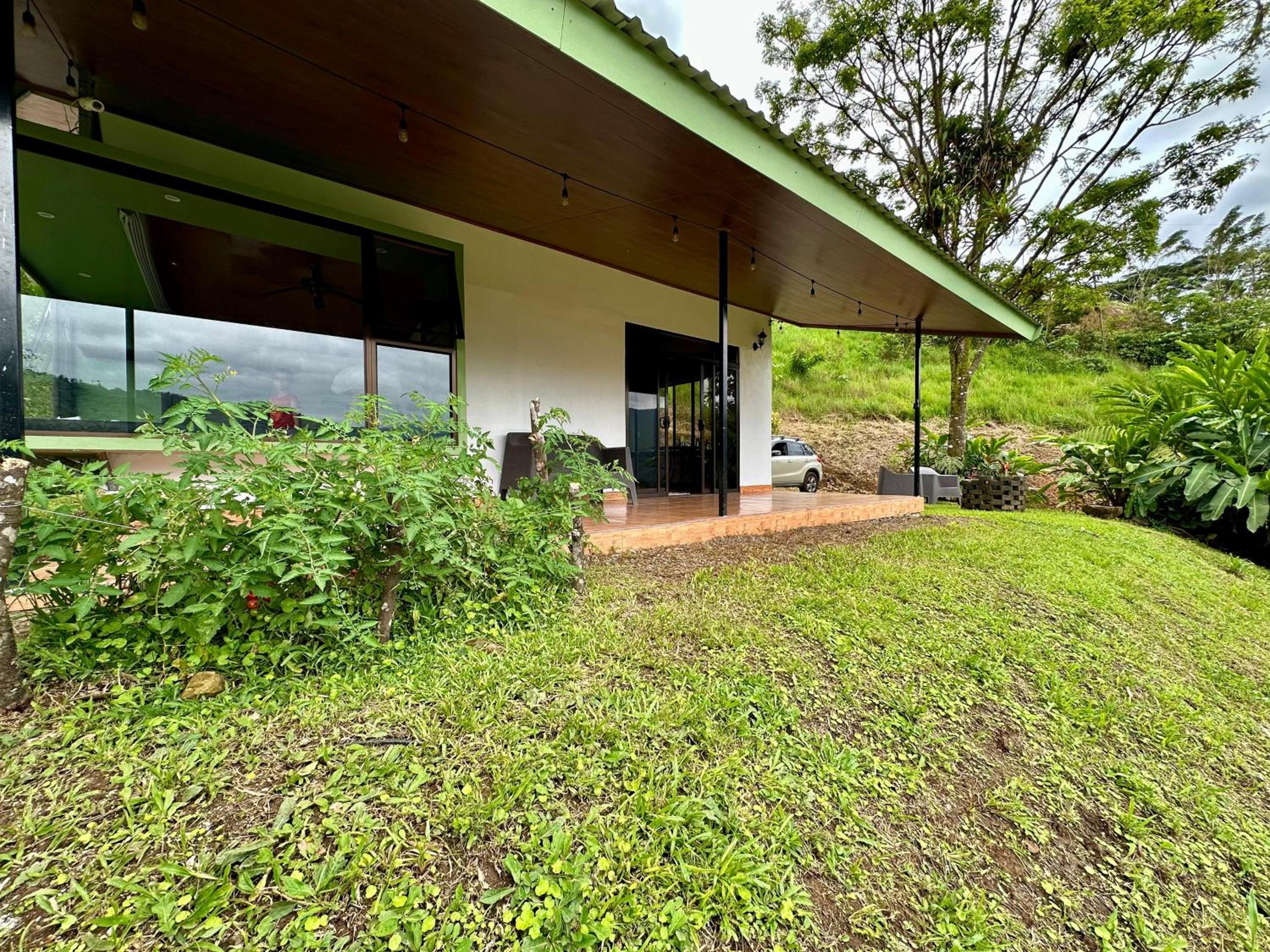 Eternal Rain Forest House