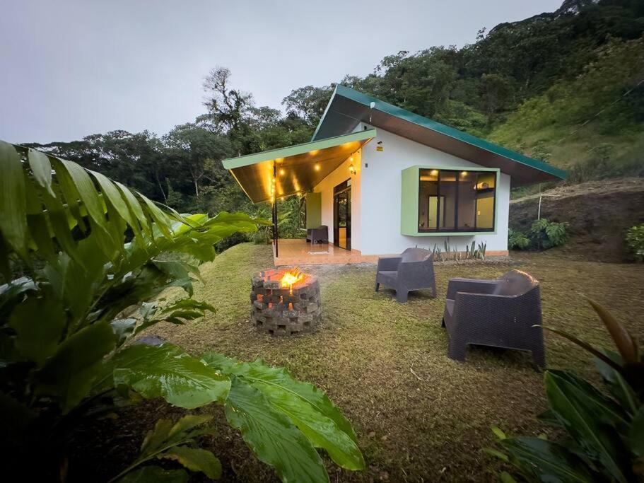 Eternal Rain Forest House