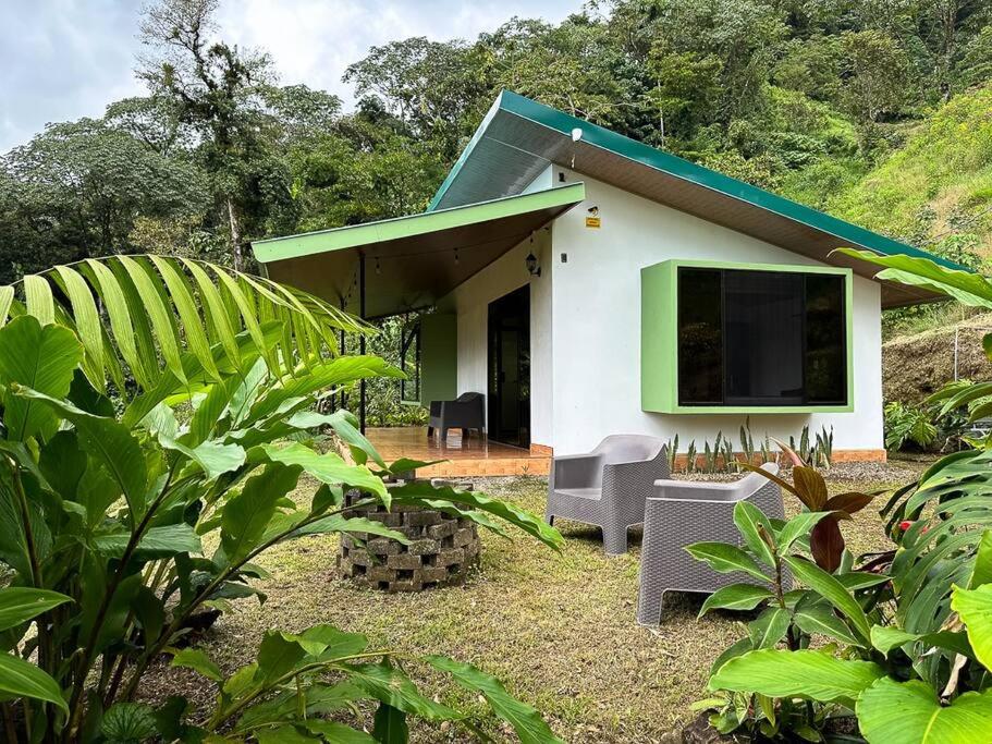 Eternal Rain Forest House