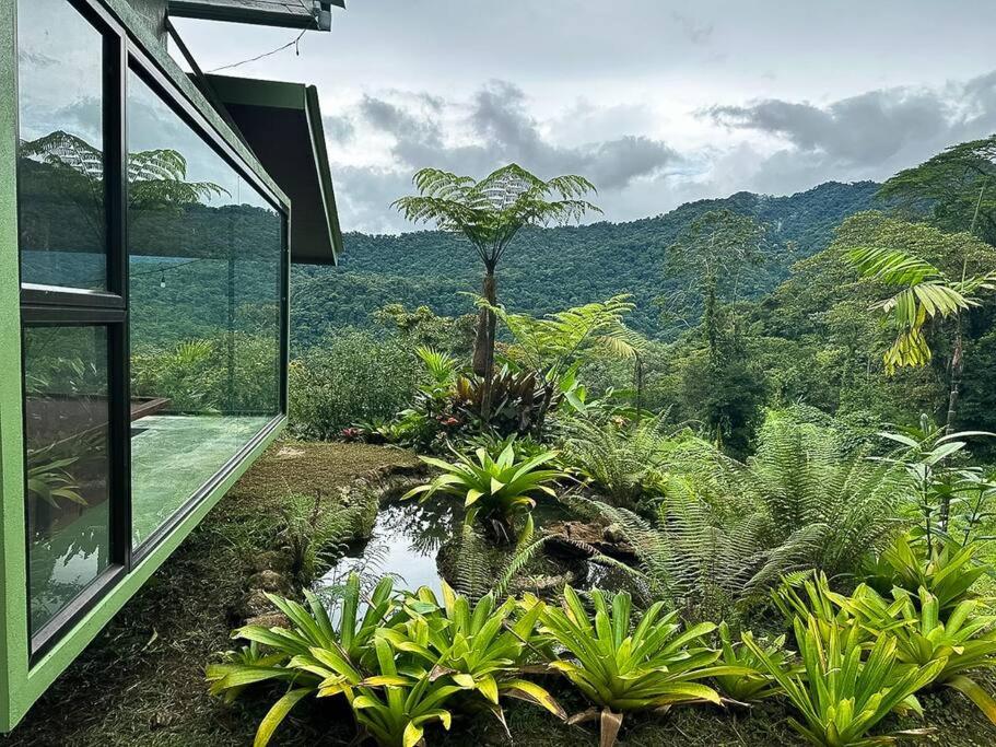 Eternal Rain Forest House