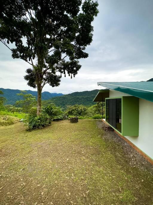 Eternal Rain Forest House