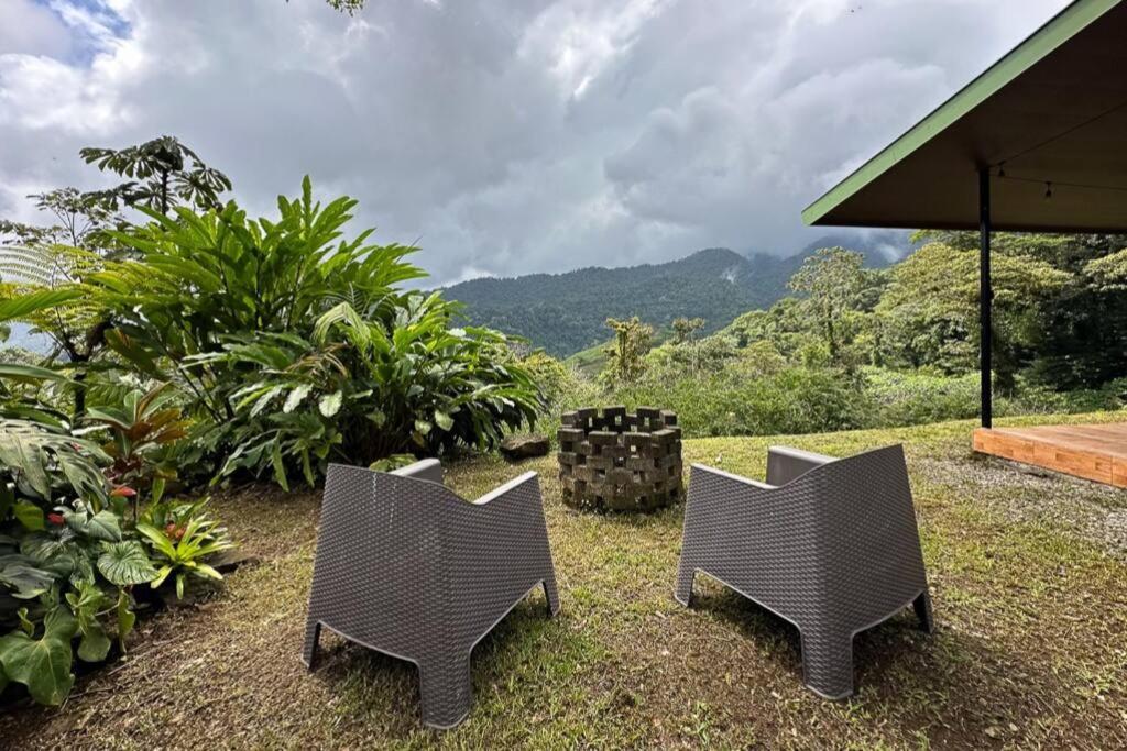 Eternal Rain Forest House