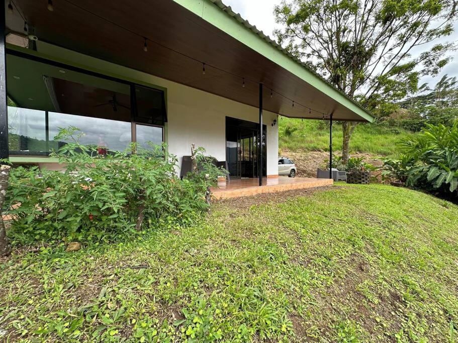 Eternal Rain Forest House
