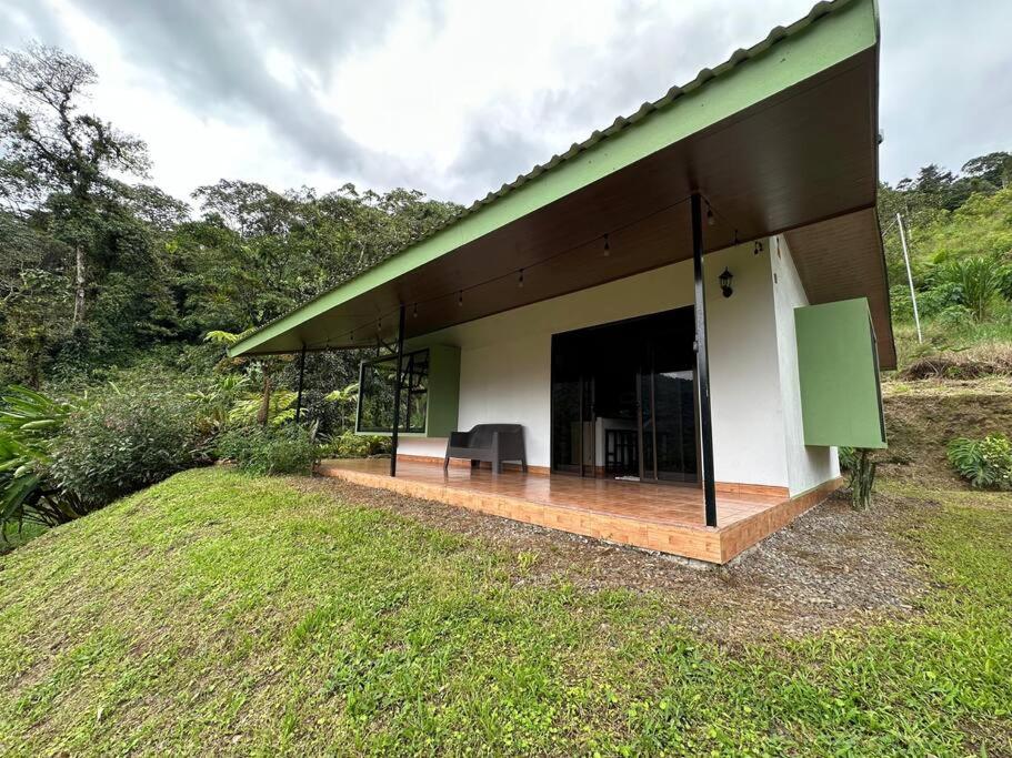 Eternal Rain Forest House