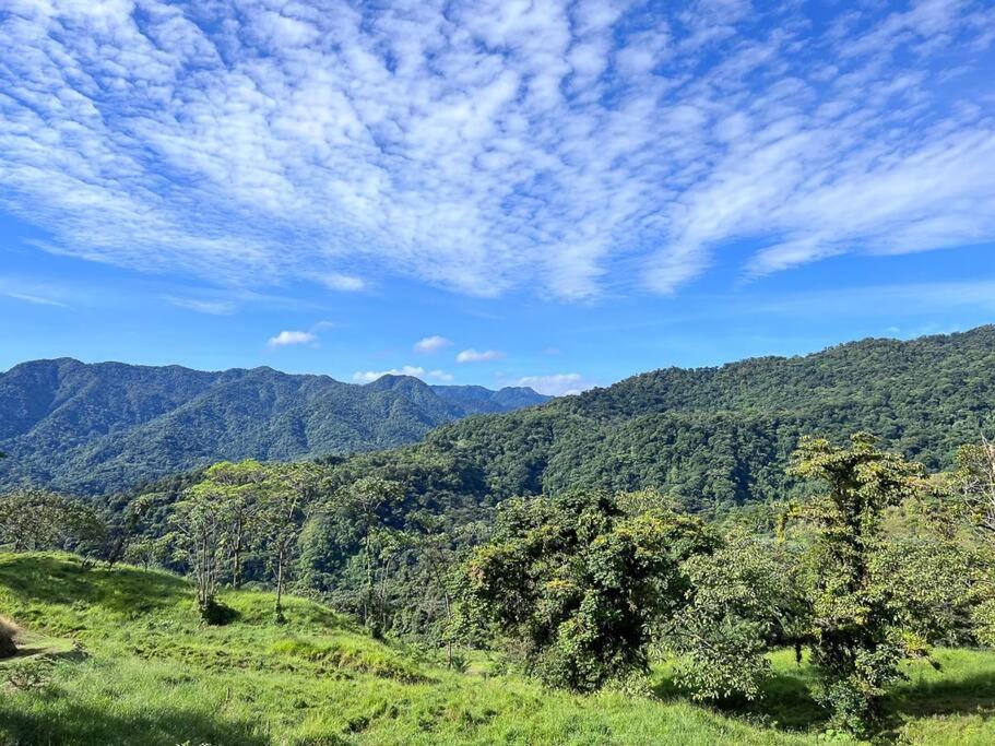 Eternal Rain Forest House
