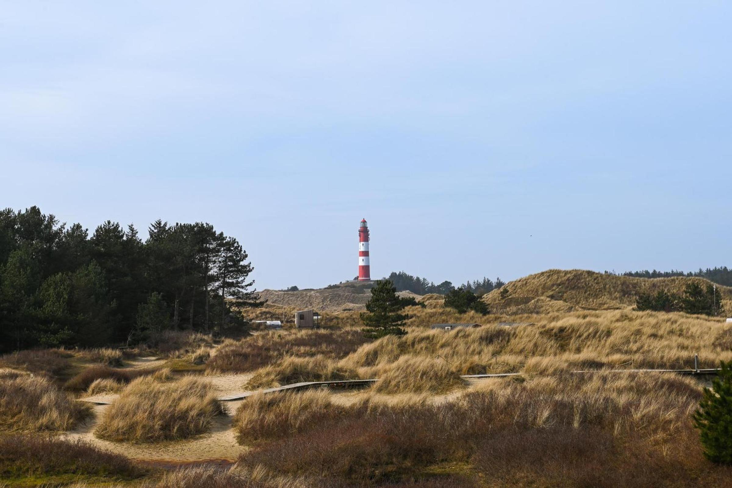 Sleep Space 1 - Green Tiny Spot Amrum view 4