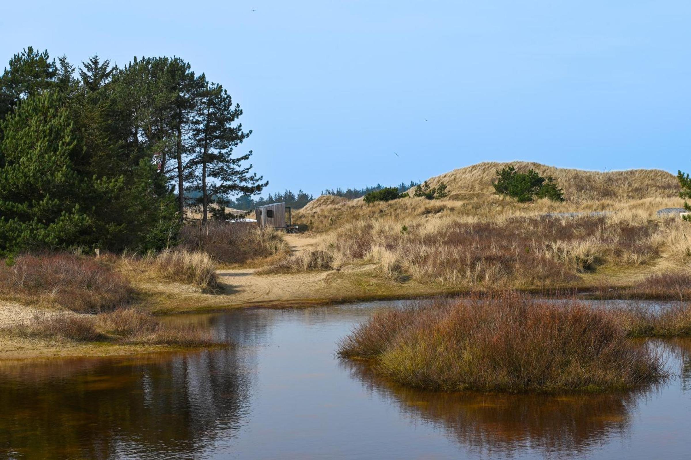 Sleep Space 1 - Green Tiny Spot Amrum view 3