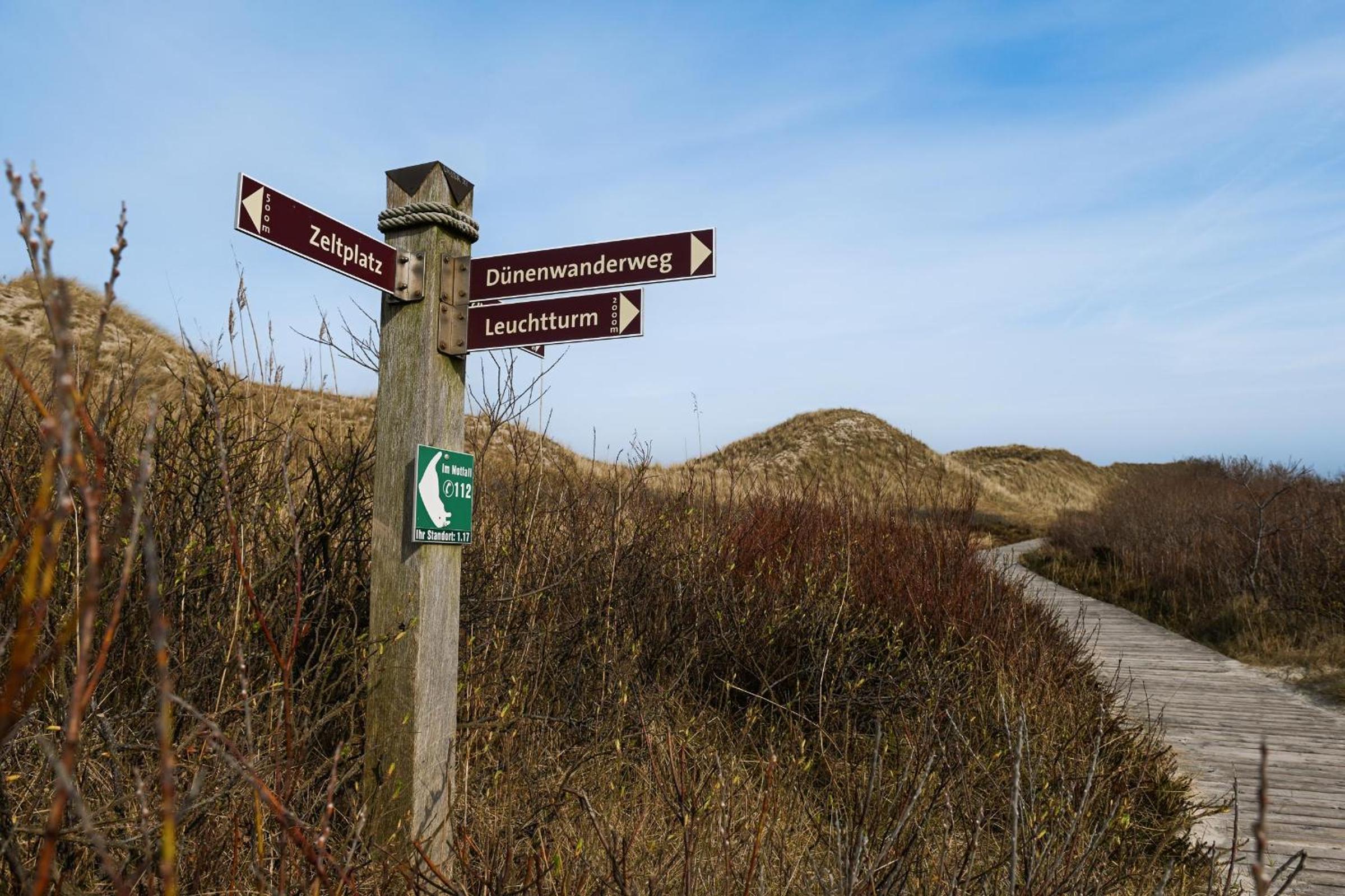 Sleep Space 1 - Green Tiny Spot Amrum view 5