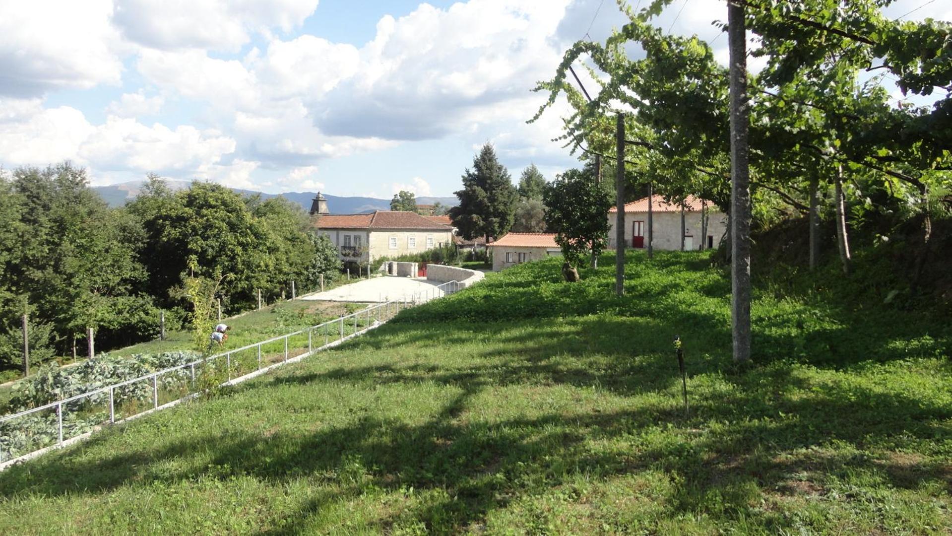 Photo 47