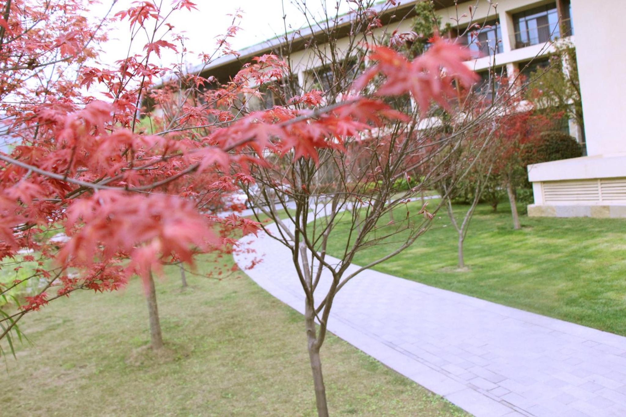 Holiday Inn Express Emei Mountain by IHG