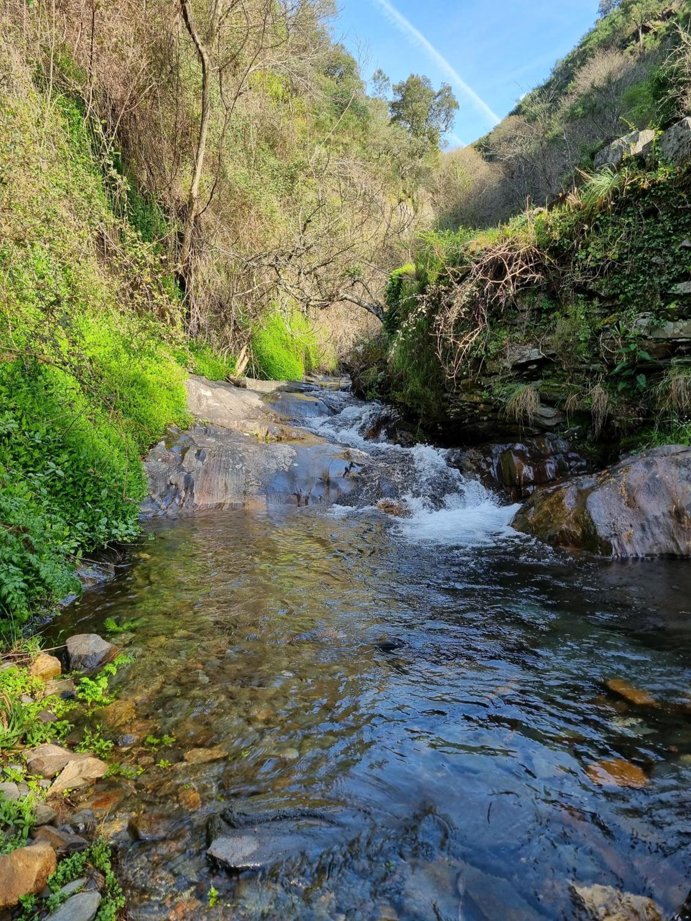 Canastro Nature Spot