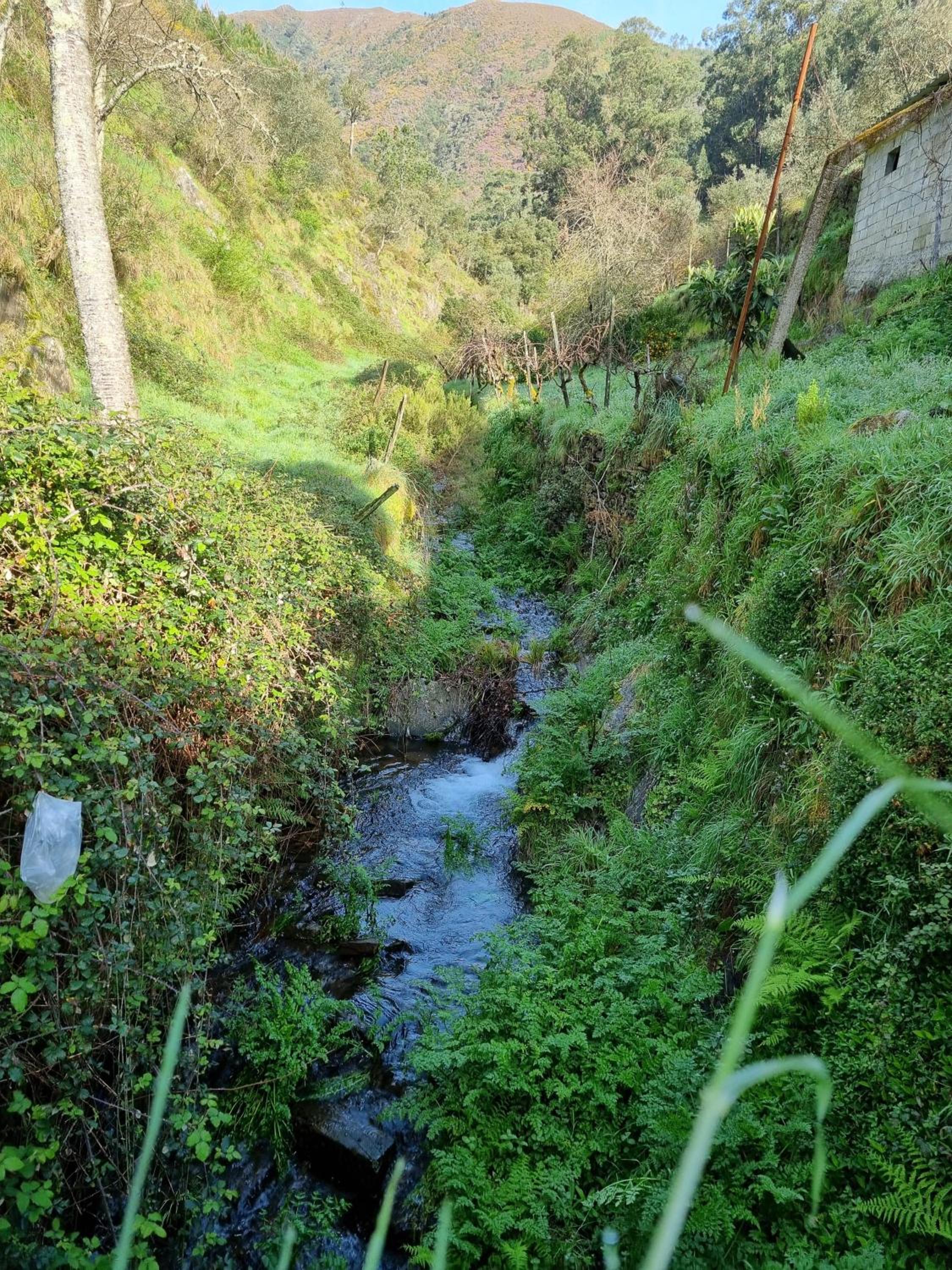 Canastro Nature Spot