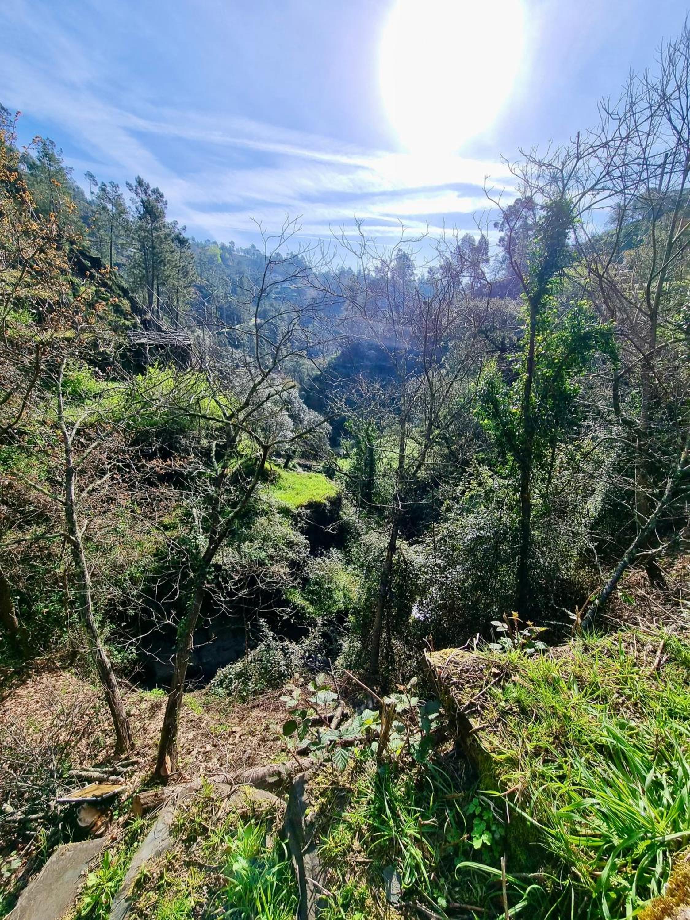 Canastro Nature Spot