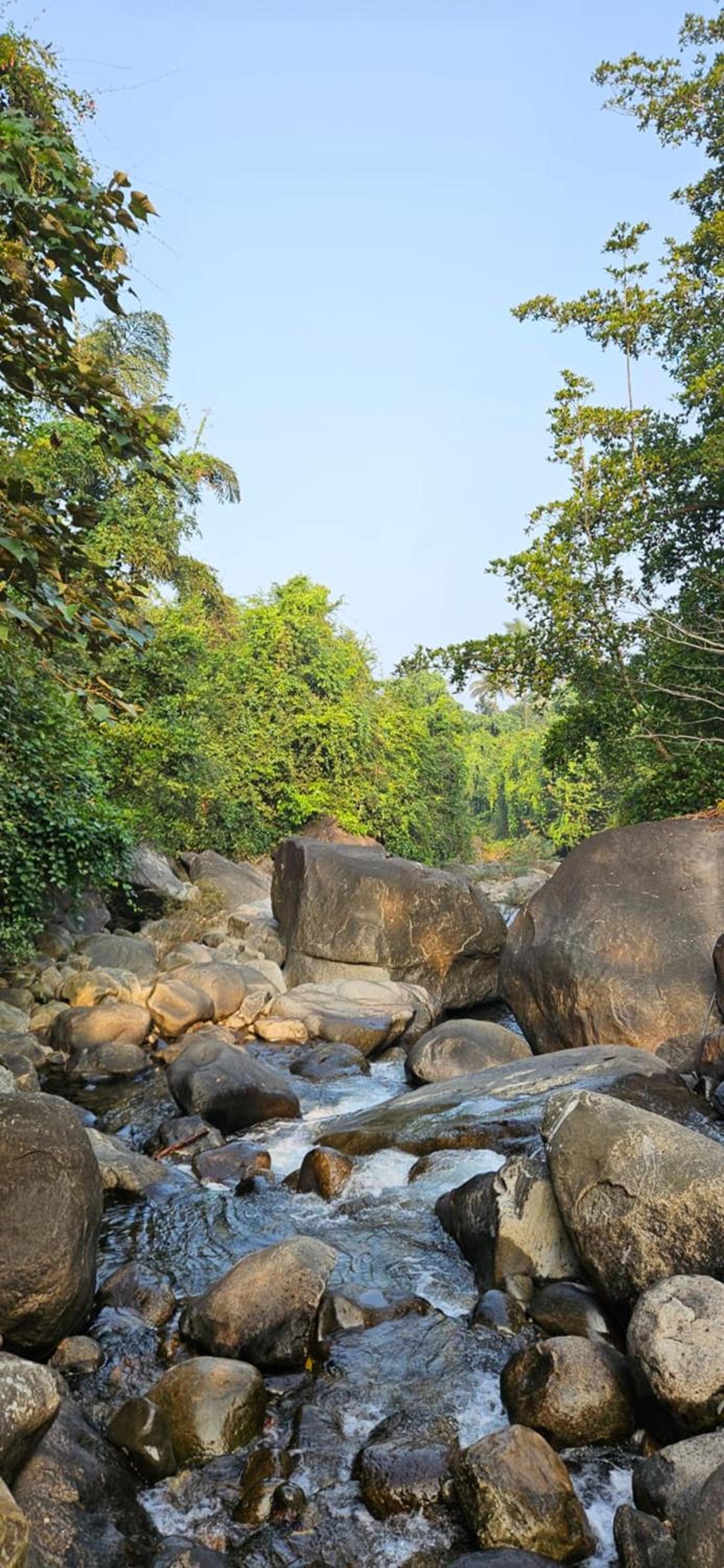 Poovanathil Farm Stay Anakkampoyil By Lexstays view 5