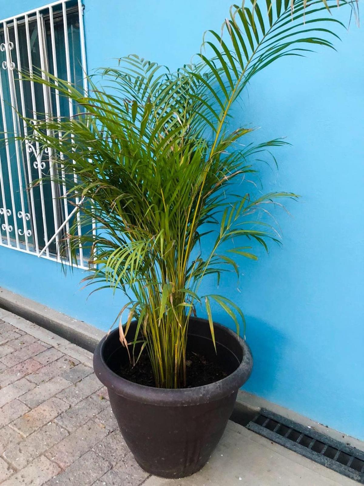 Photo 74