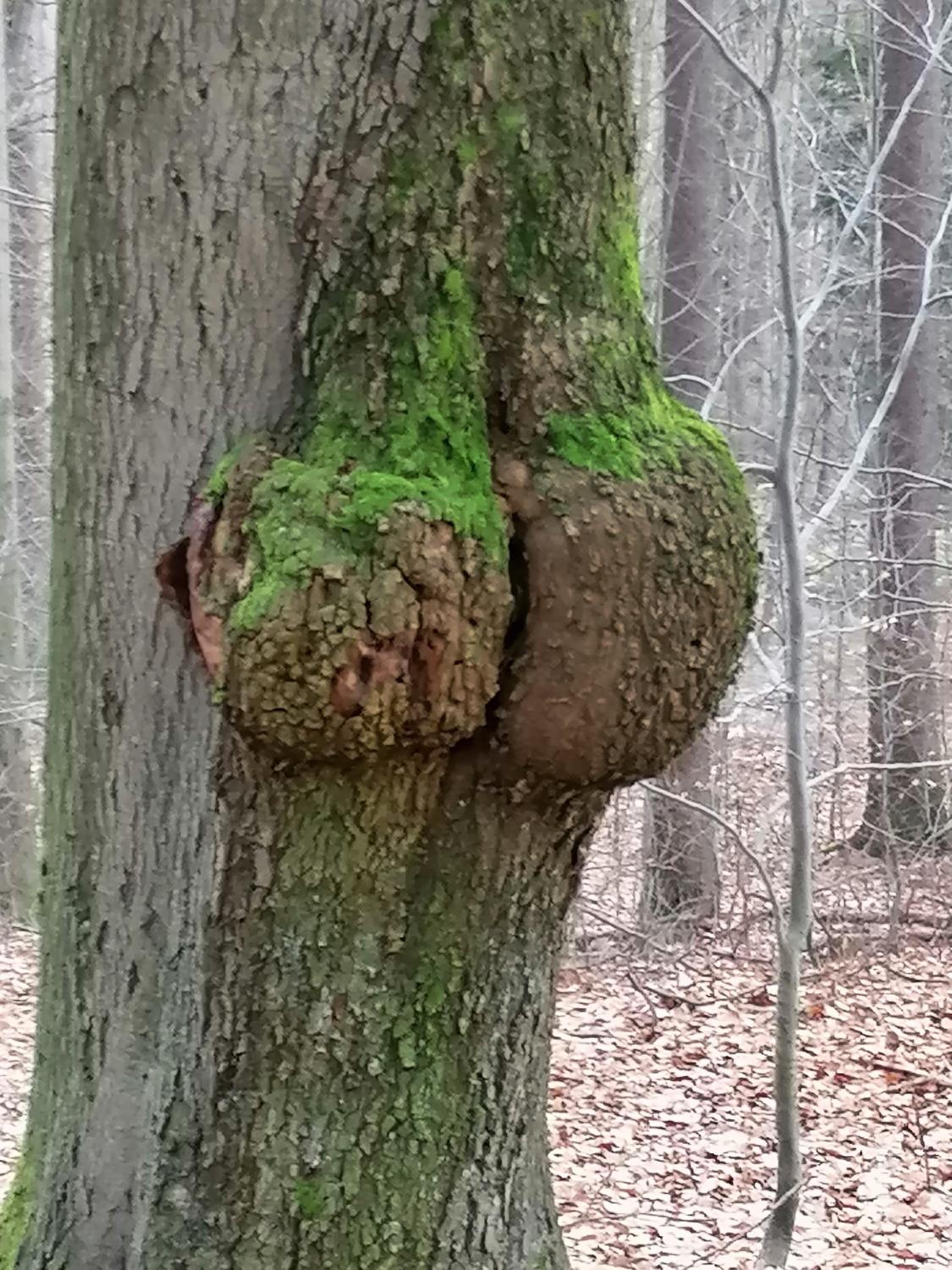 Penzion JURA