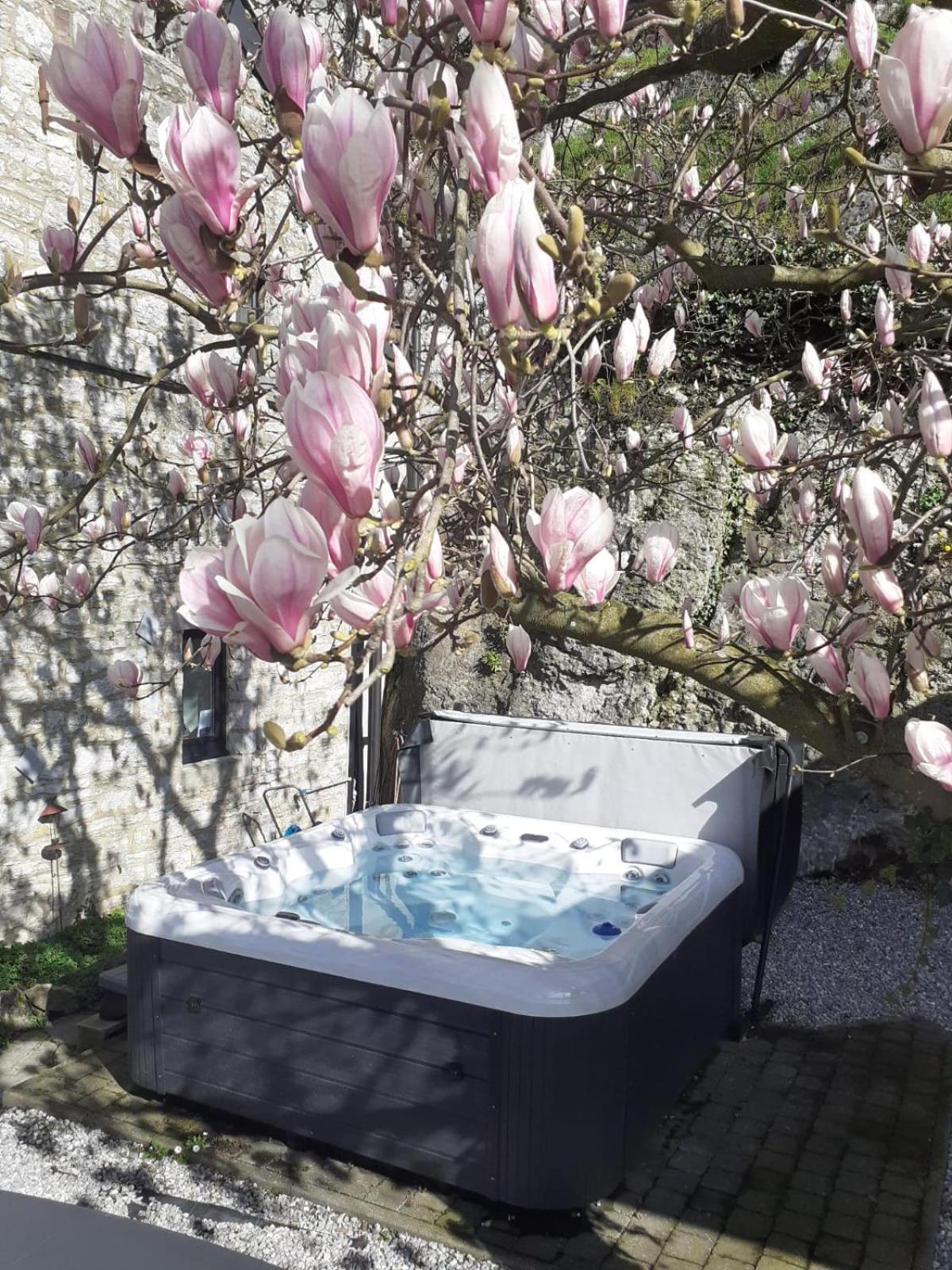 Pieds dans l'eau Private Wellness Bordure de Meuse